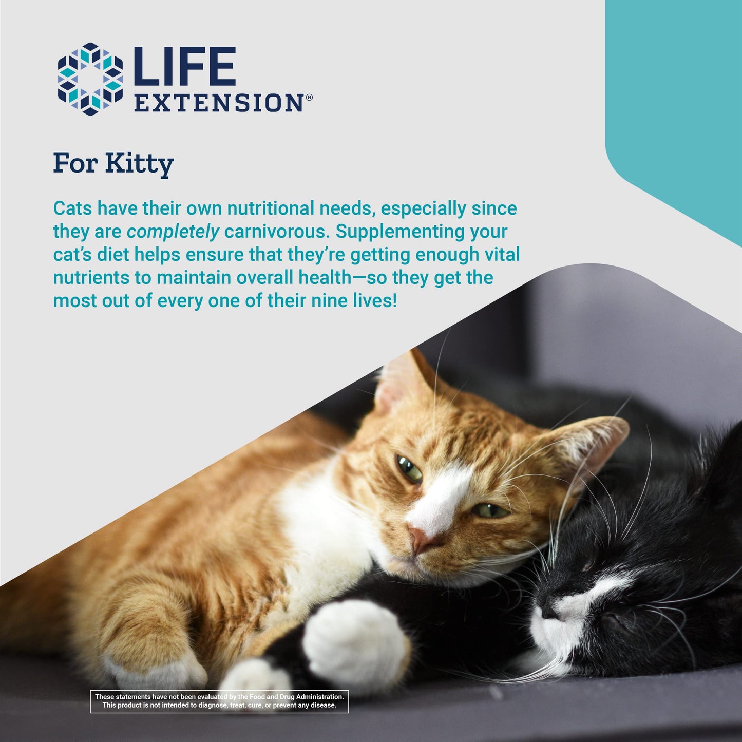 Life Extension Cat Mix – For Heart, Kidney & Pancreatic Function + Gut Health Life ExtensionUS supplements
