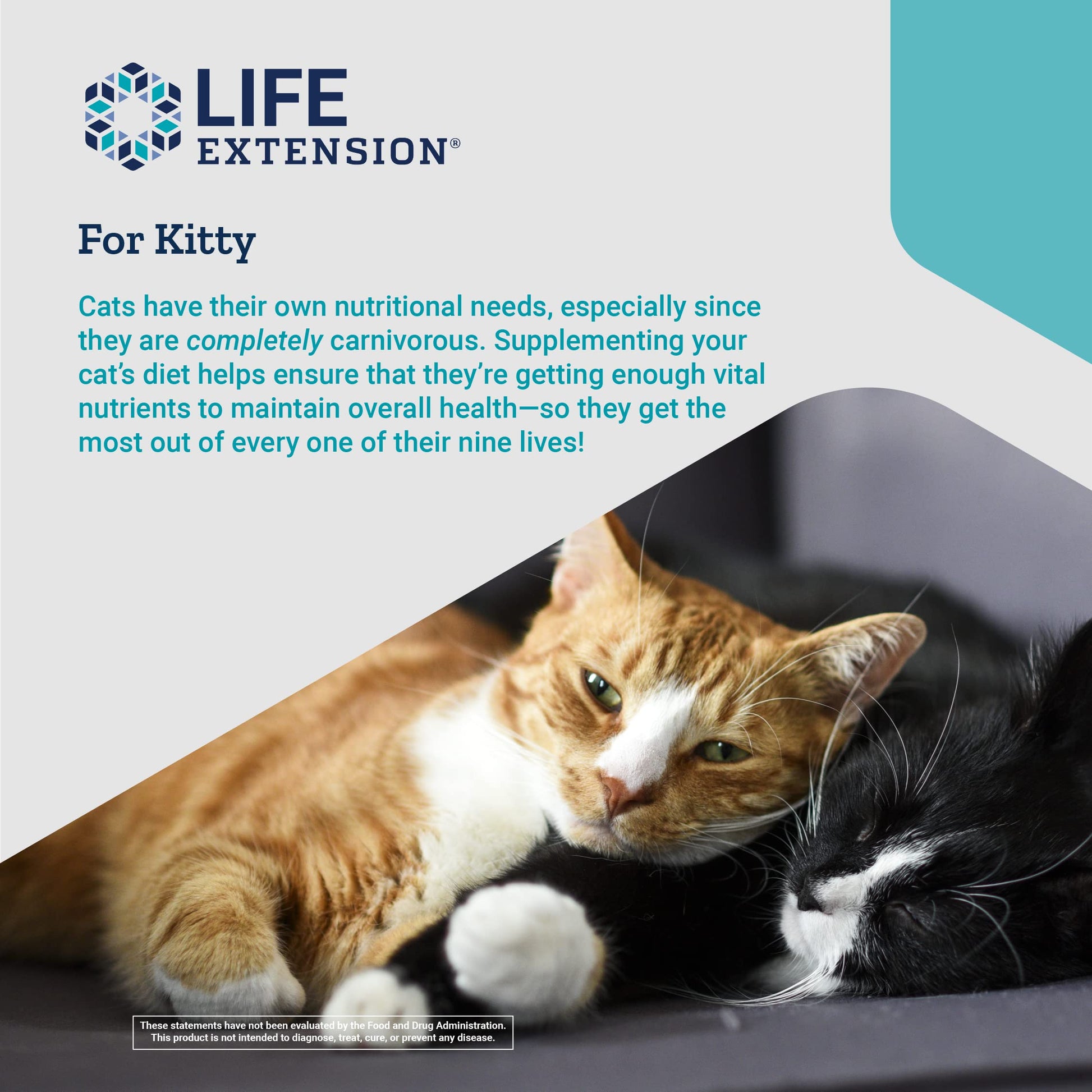 Life Extension Cat Mix – For Heart, Kidney & Pancreatic Function + Gut Health Life ExtensionUS supplements