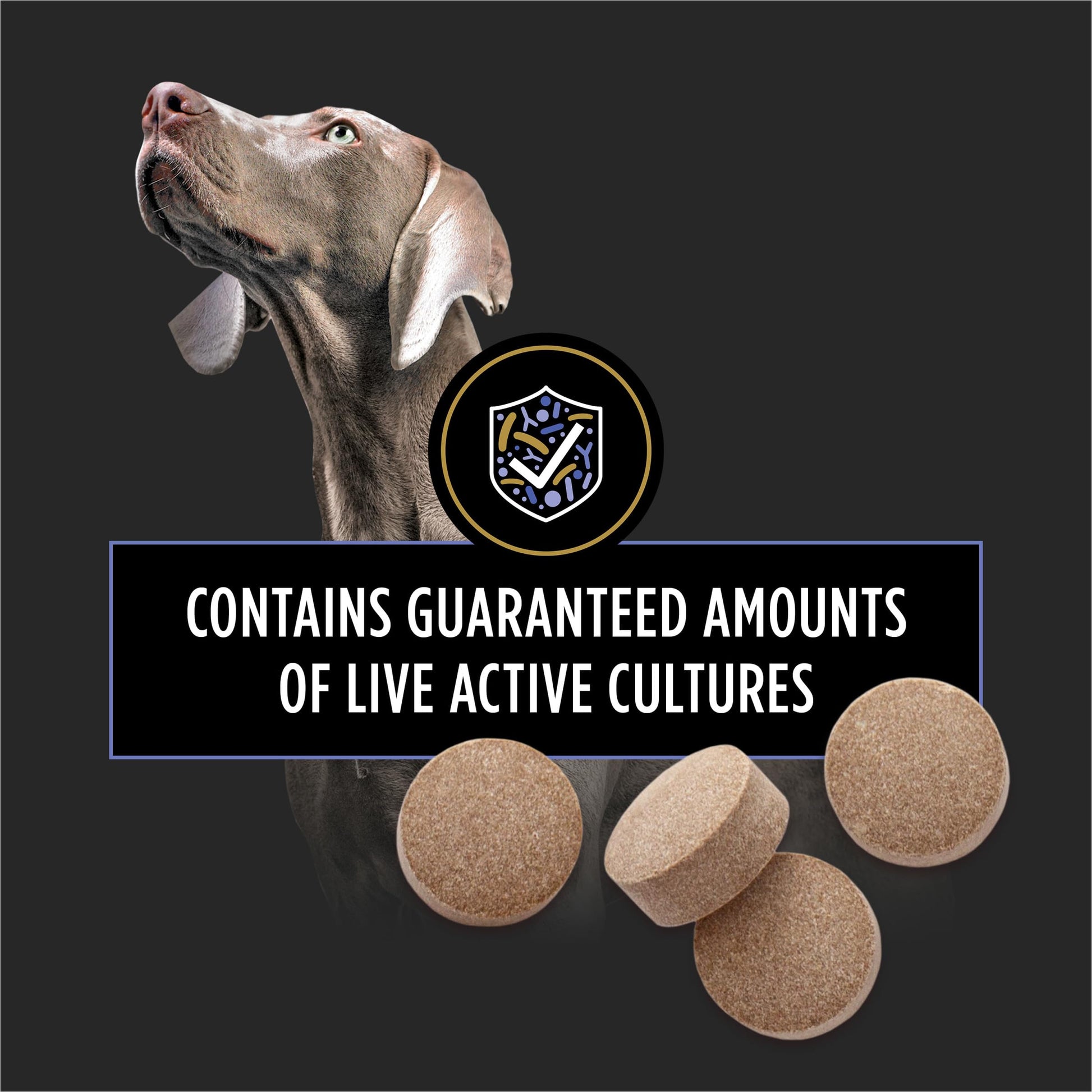 Purina Pro Plan Veterinary Supplements FortiFlora Daily Probiotics for Dogs Chewable Tablets for Digestive Gut Health and Diarrhea - 90 ct. Canister Pro Plan Veterinary DietsAu supplements