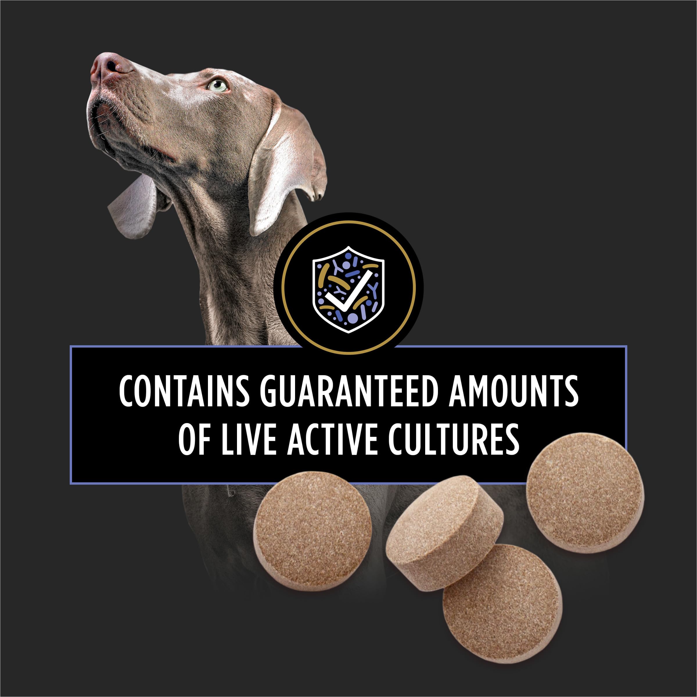 Purina Pro Plan Veterinary Supplements FortiFlora Daily Probiotics for Dogs Chewable Tablets for Digestive Gut Health and Diarrhea - 90 ct. Canister Pro Plan Veterinary DietsAu supplements