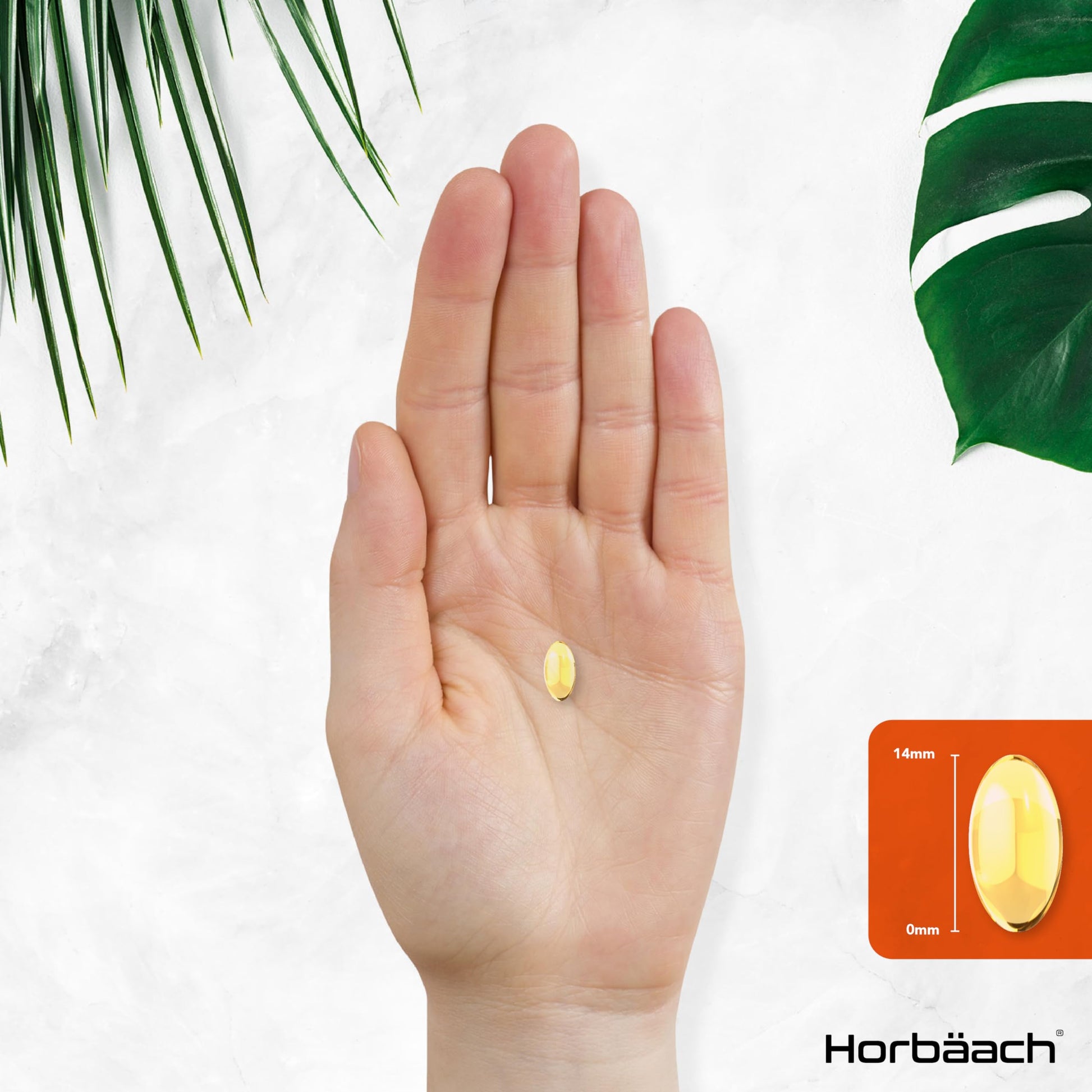 Vitamin A Capsules 10,000iu | 365 Count (1 Year Supply) | High Strength Vitamin A Supplem HorbäachUS supplements