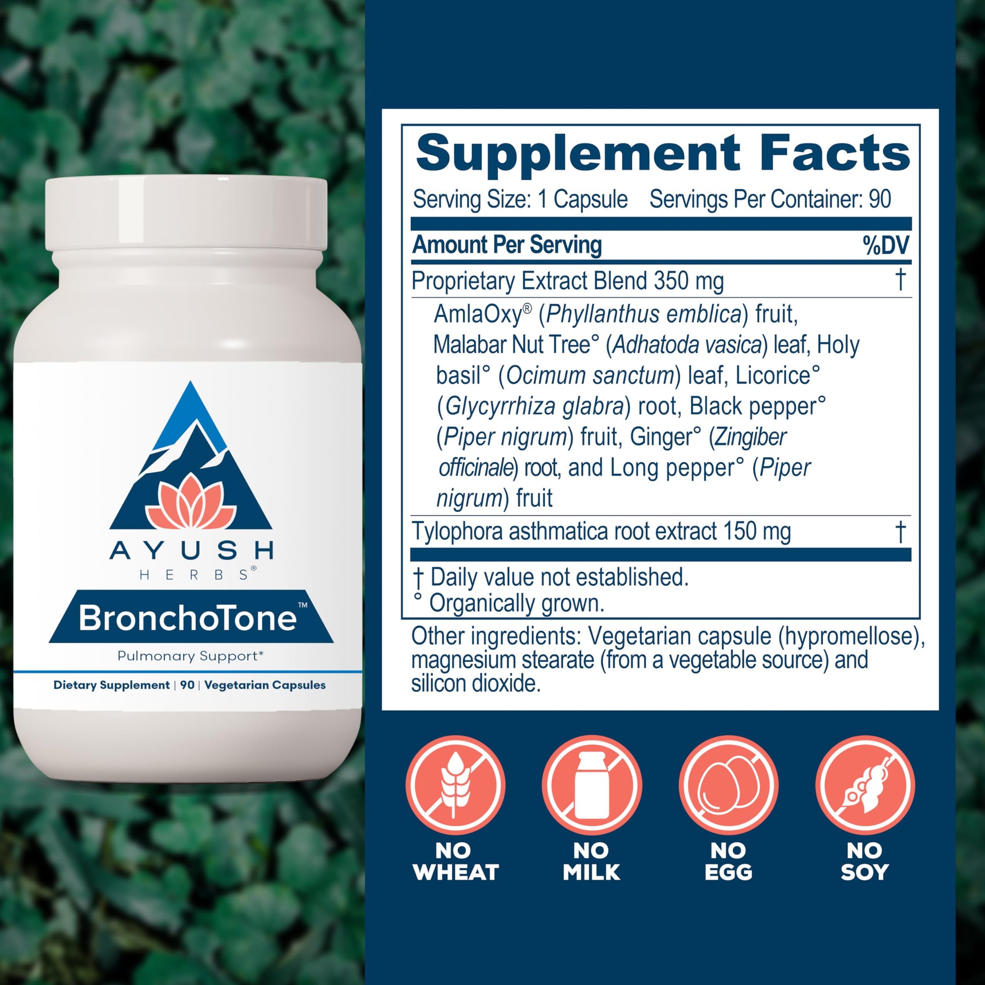 Ayush Herbs Bronchotone - Bronchial Support, Respiratory and Immune-Support Support Supplement for Women & Men, Adults, Pulmonary Care Supplement - 90 Vegetarian Capsules (1 Count) Ayush HerbsAu supplements