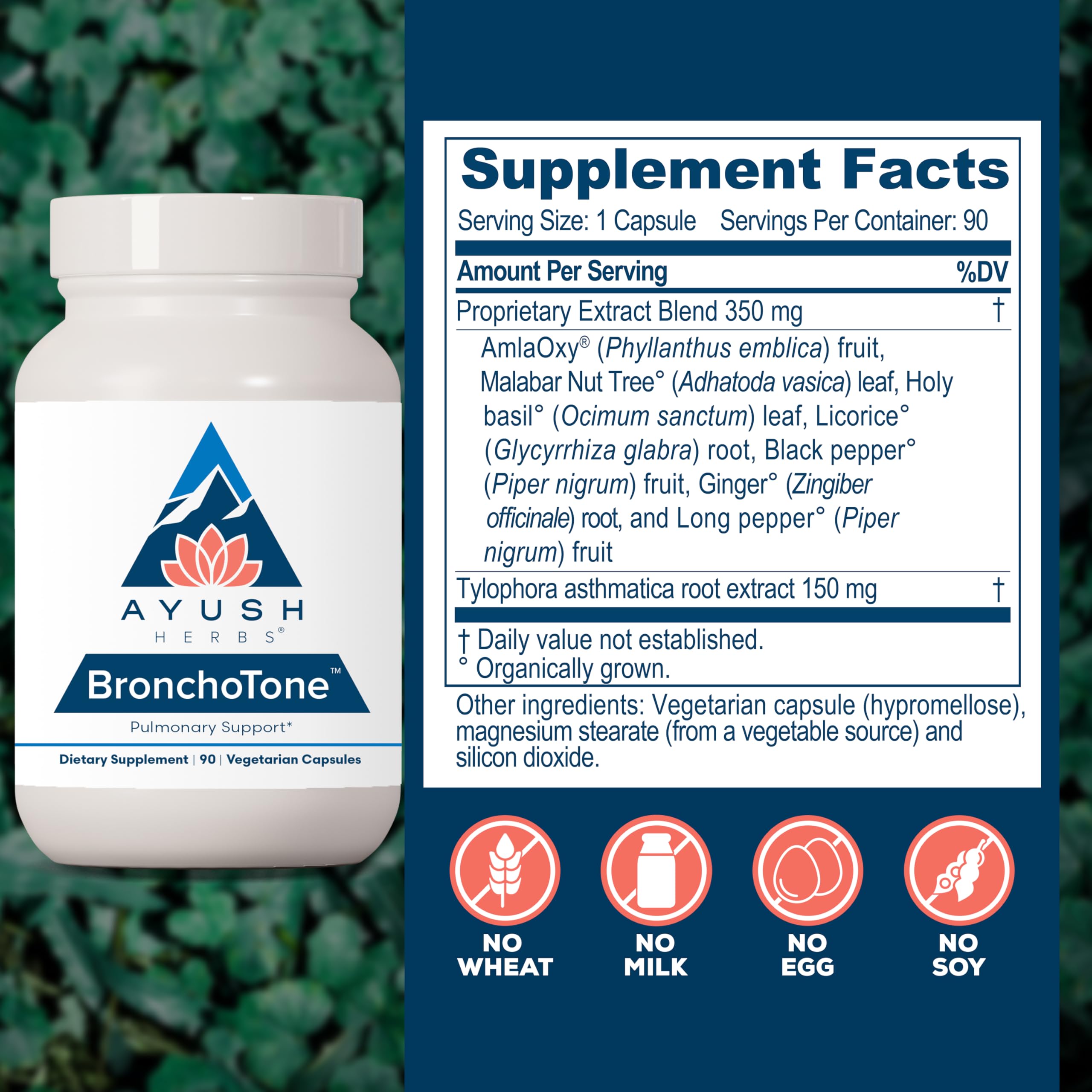 Ayush Herbs Bronchotone - Bronchial Support, Respiratory and Immune-Support Support Supplement for Women & Men, Adults, Pulmonary Care Supplement - 90 Vegetarian Capsules (1 Count) Ayush HerbsAu supplements