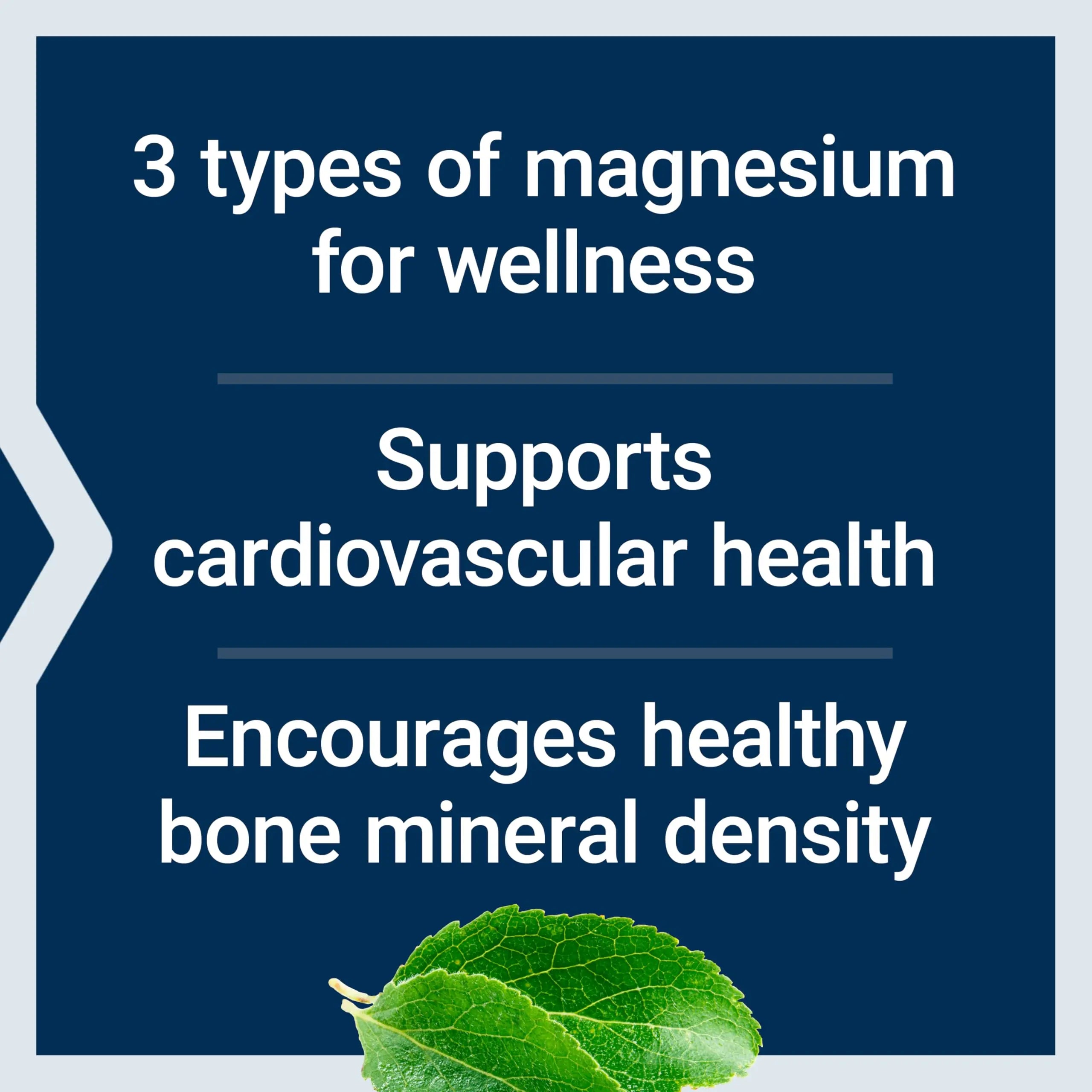 Life Extension Magnesium Caps, 500 mg, Magnesium Oxide, Citrate, and Succinate, Heart Health, Healthy Bones, Metabolism Support, 100 Vegetarian Capsules Life Extensionnz supplements