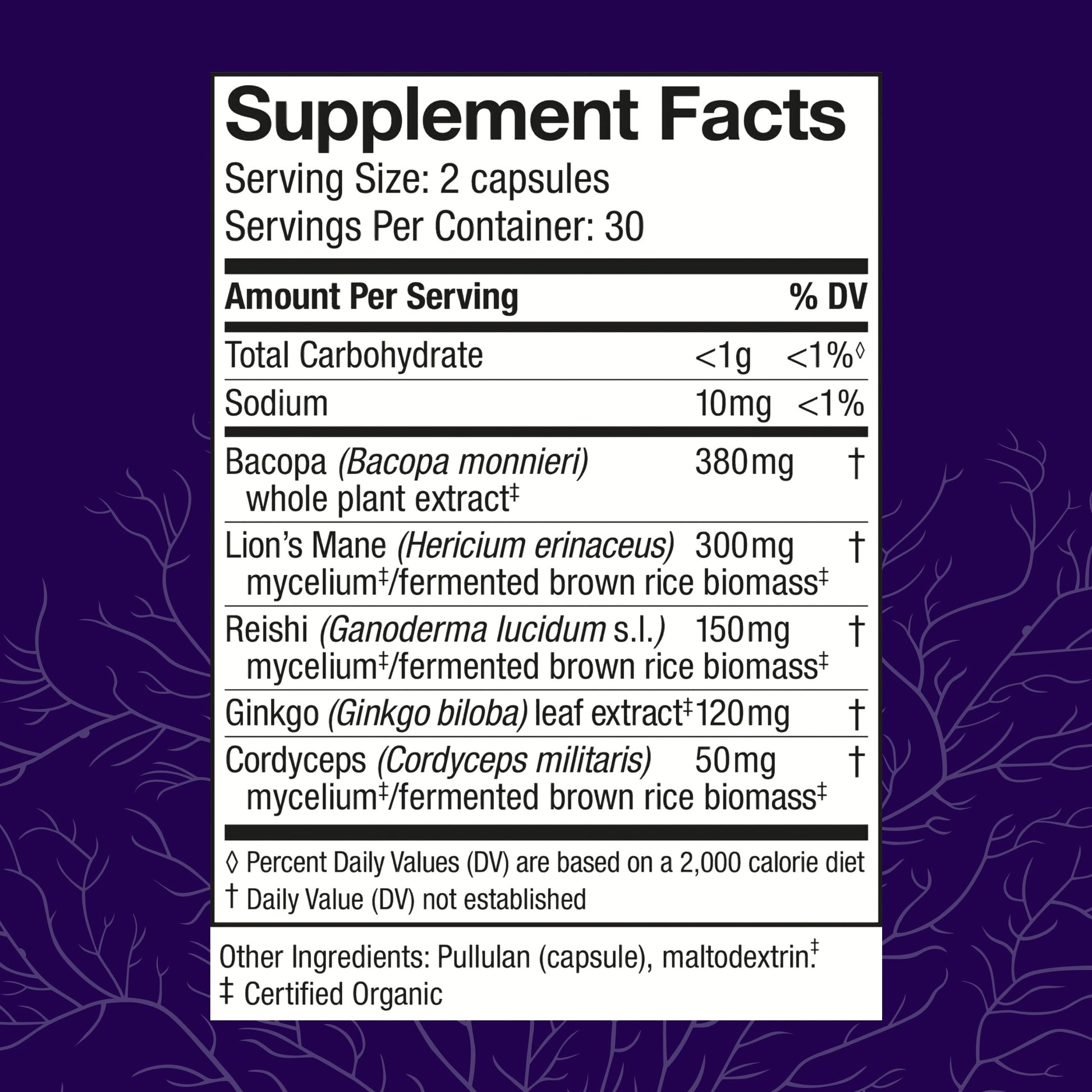 Host Defense MycoBotanicals Brain* Capsules - Brain Support Supplement with Lion's Mane, Reishi & Cordyceps Mushroom - Herbal Supplement for Memory & Focus Support - 60 Capsules Host DefenseAu supplements