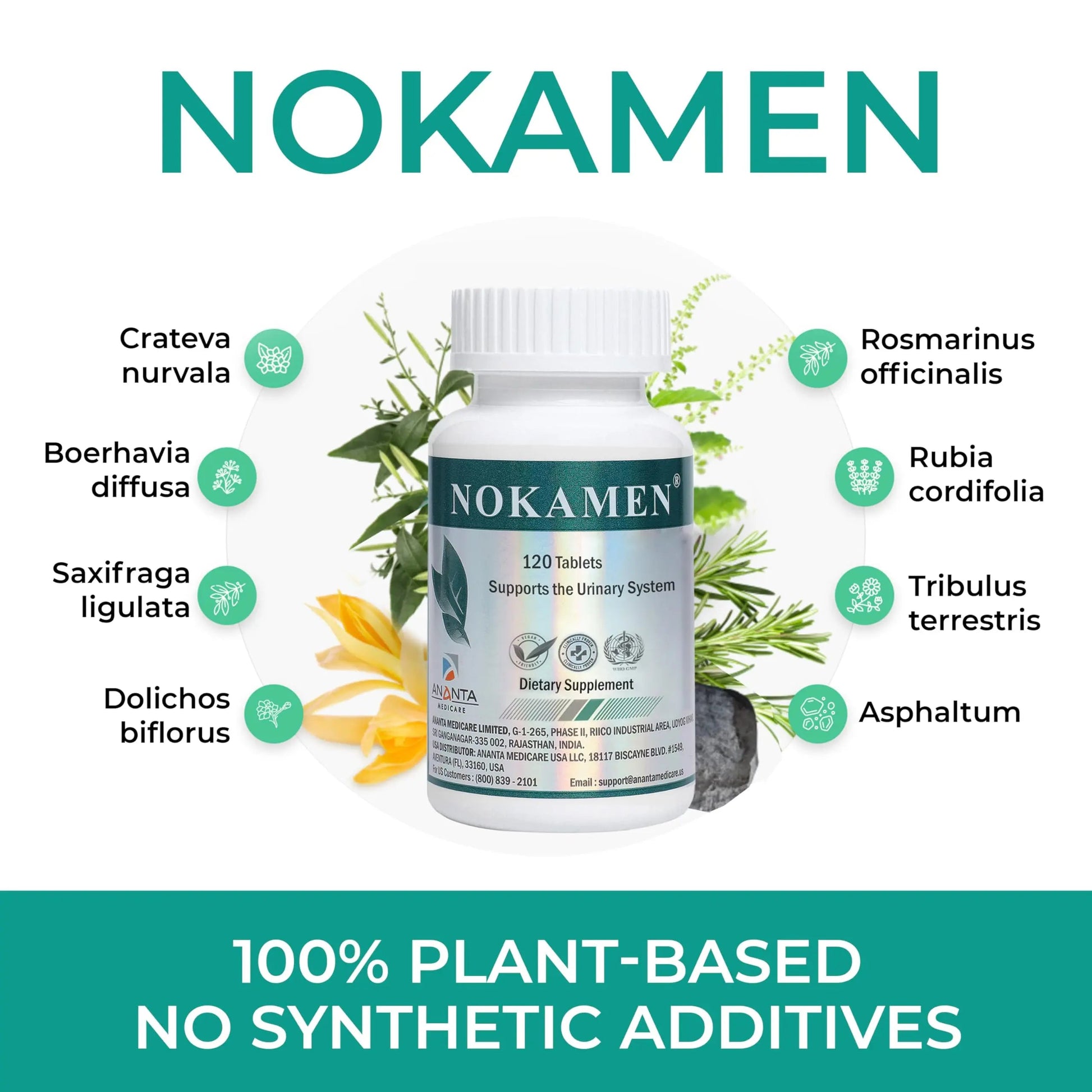 Ananta Medicare USA NOKAMEN – Kidney & Urinary Tract Support Herbal Formula, 120 Tabs Ananta Medicare USAAu supplements