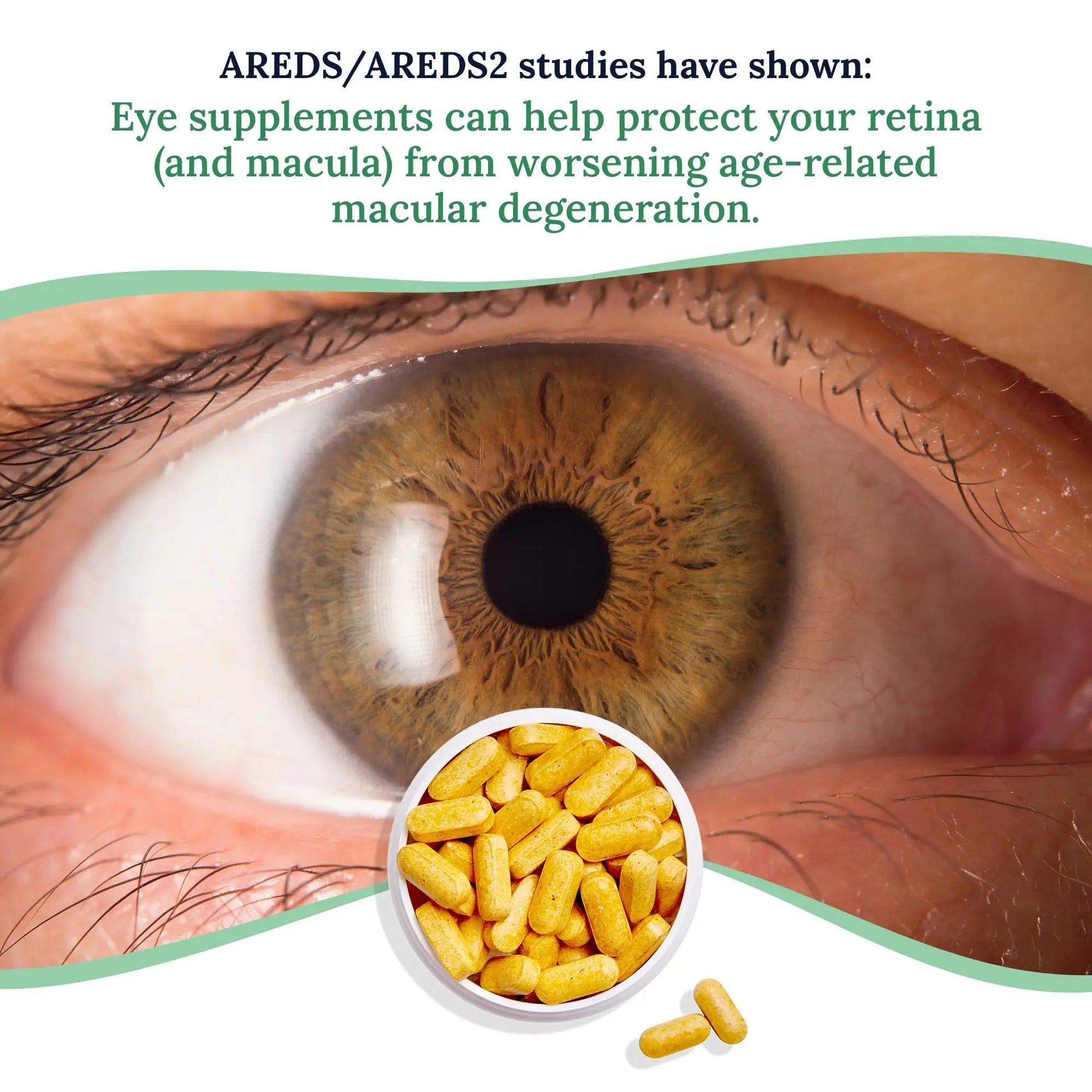 CorneaCare Vitamins and Minerals | Multivitamin for Vision & Health | Dry Eye Supplements | 60 Tablets CorneaCareAu supplements
