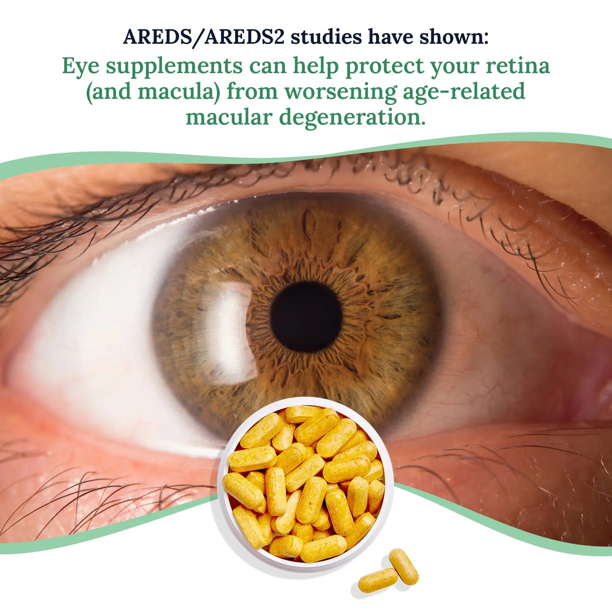 CorneaCare Vitamins and Minerals | Multivitamin for Vision & Health | Dry Eye Supplements | 60 Tablets CorneaCareAu supplements