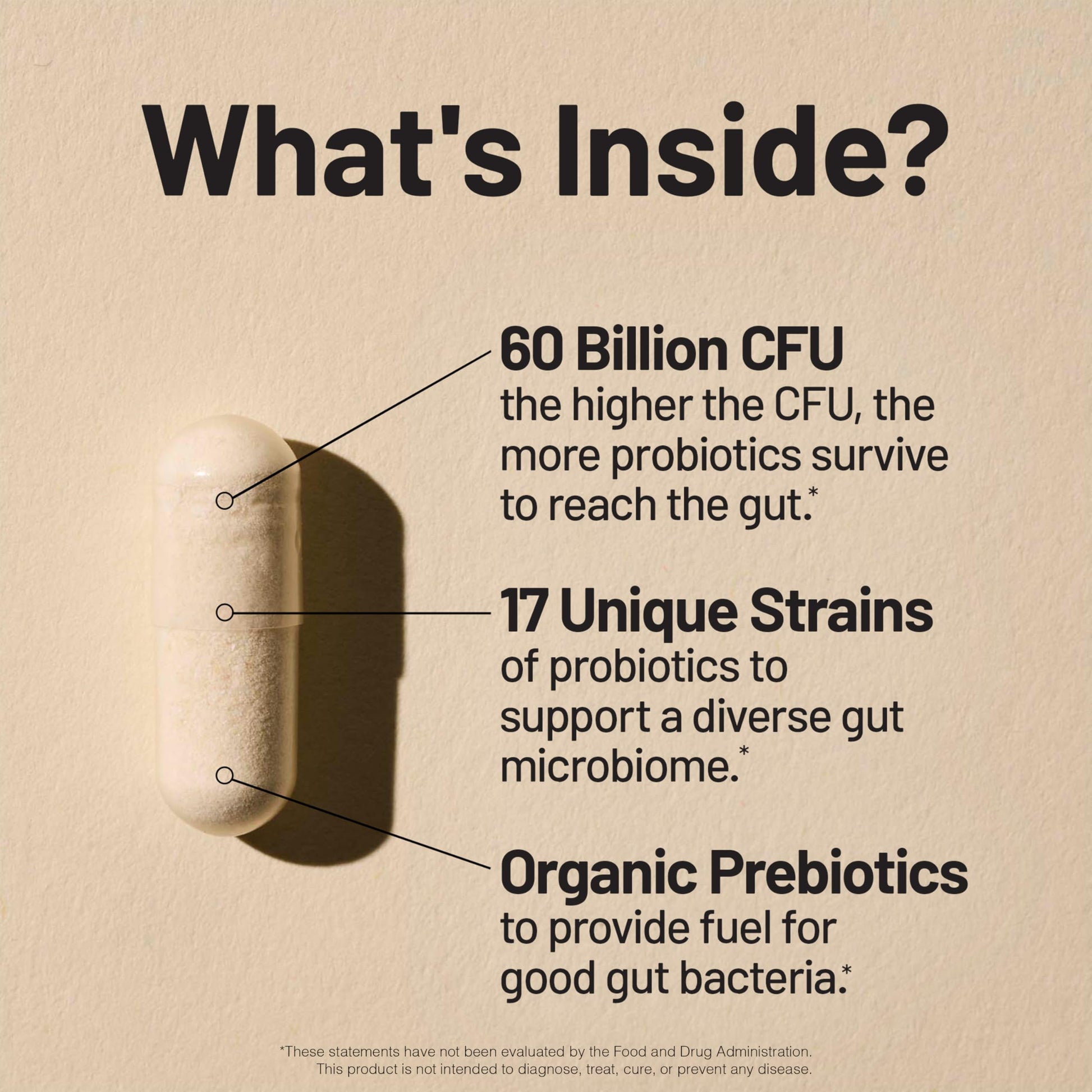 NatureWise Probiotics 60 Billion CFU - 17 Strains + Organic Prebiotics - Immune, Digestive & Gut Health Support for Women & Men - Vegetarian, Gluten-Free, Non-GMO - 30 Capsules[1-Month Supply] NatureWiseAu supplements