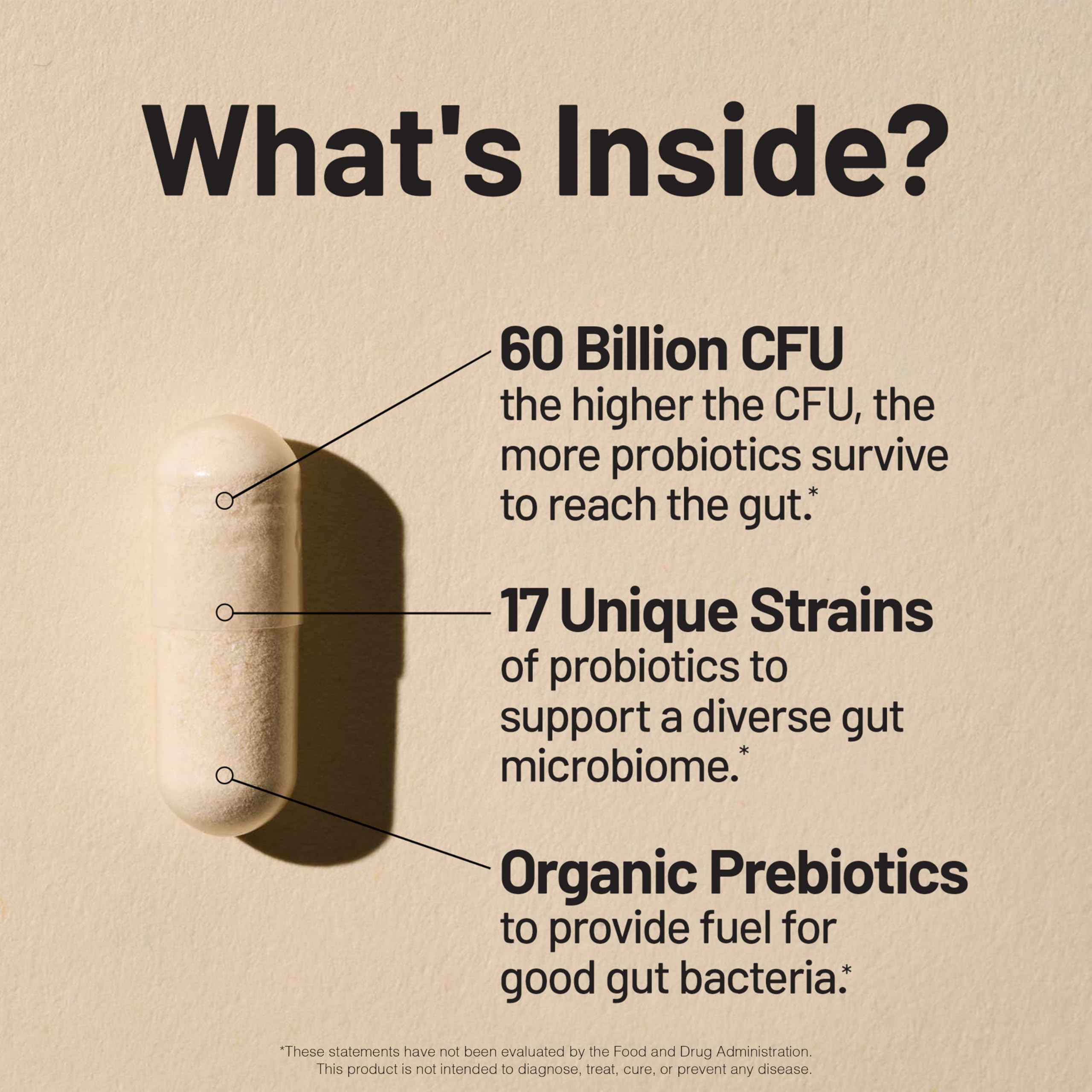 NatureWise Probiotics 60 Billion CFU - 17 Strains + Organic Prebiotics - Immune, Digestive & Gut Health Support for Women & Men - Vegetarian, Gluten-Free, Non-GMO - 30 Capsules[1-Month Supply] NatureWiseAu supplements