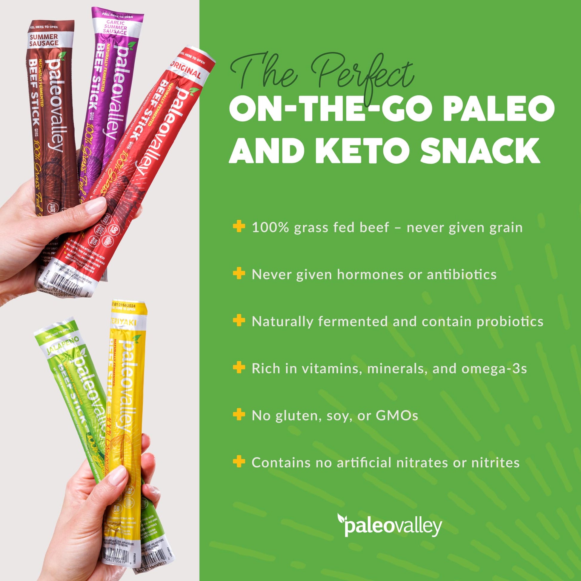 Paleovalley 100% Grass Fed Beef Sticks - Delicious Gluten Free Beef Snack - High Protein Keto Friendly, 50 Count Variety Pack PaleovalleyUS supplements