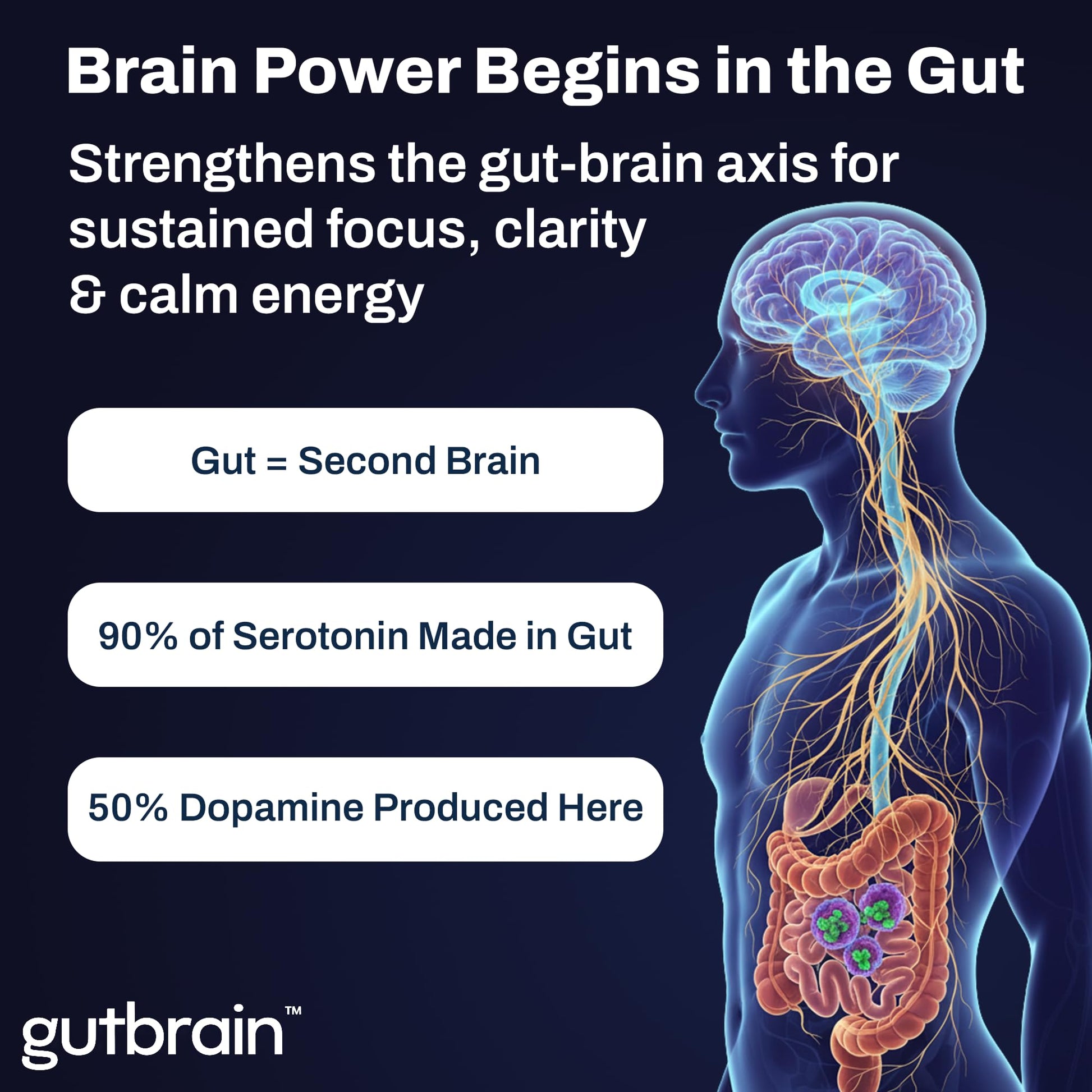 Brain Supplement for Memory and Focus with Probiotics, Advanced 2 in 1 Nootropic Brain Support for Mental Clarity, Caffeine Free Doctor Formulated Supplement, 60 Capsules Purity LabsAu supplements