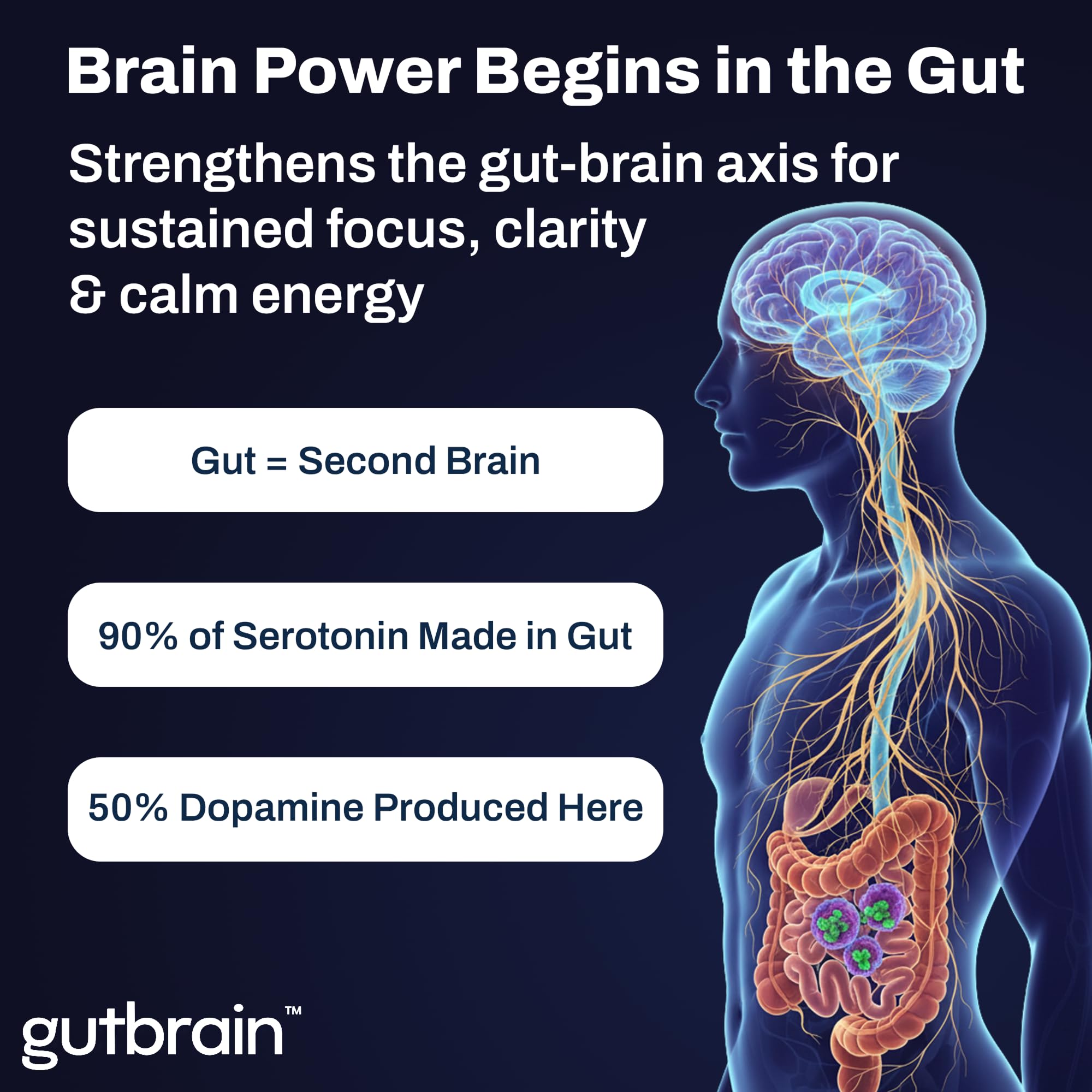 Brain Supplement for Memory and Focus with Probiotics, Advanced 2 in 1 Nootropic Brain Support for Mental Clarity, Caffeine Free Doctor Formulated Supplement, 60 Capsules Purity LabsAu supplements