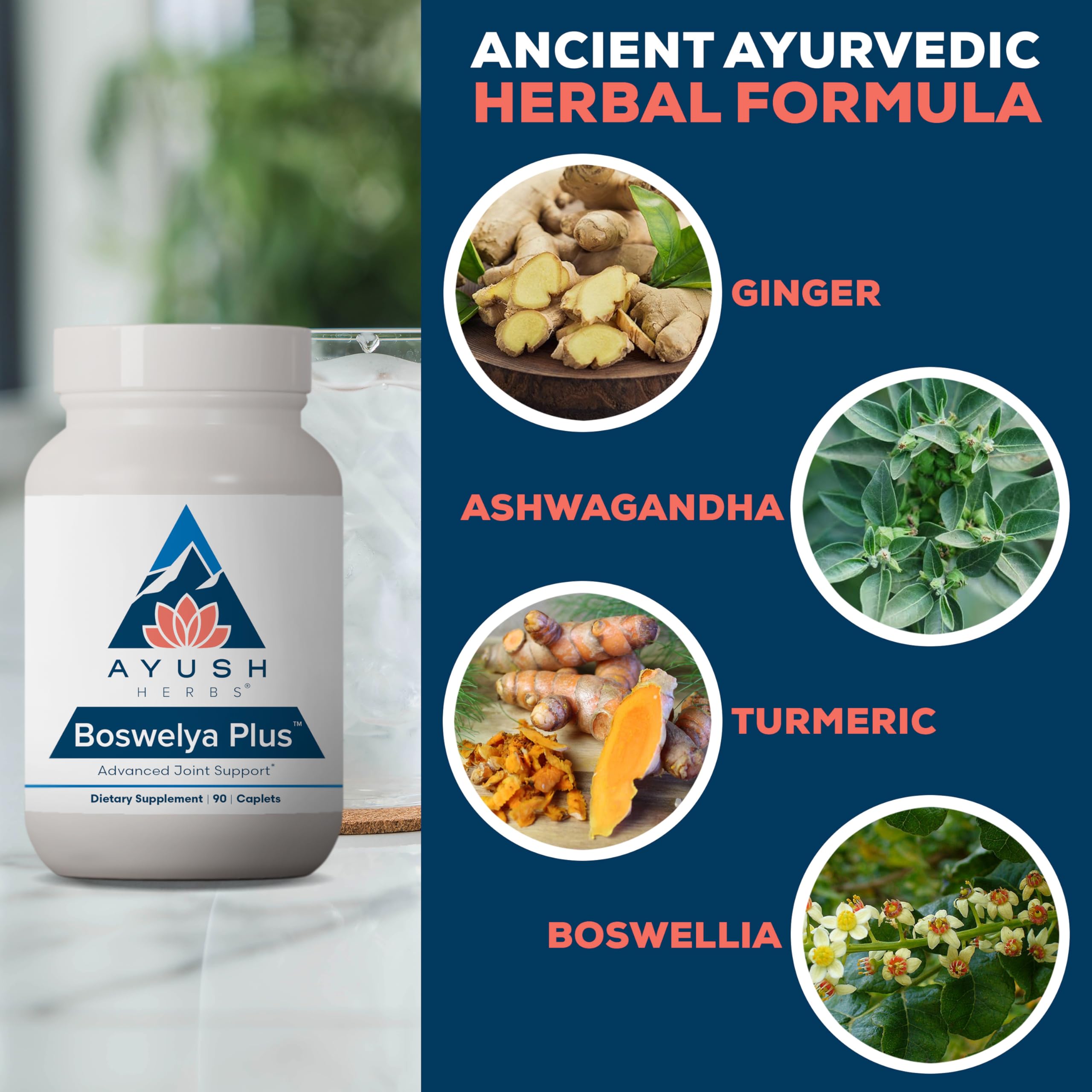 Ayush Herbs Boswelya Plus - Glucosamine Chondroitin Joint Support Supplement, Turmeric Muscle Support for Men & Women, Joint Care with Curcumin - 90 Vegetarian Capsules (1 Count) Ayush HerbsAu supplements