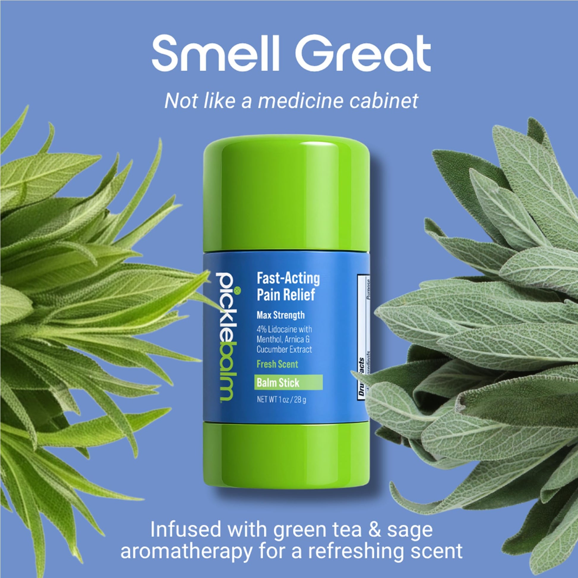 PickleBalm Pickleball In-Game Muscle Pain Relief Balm Stick with 4% Lidocaine, Arnica, Menthol, Cucumber Seed Extract for Shoulders, Knees, Wrists, and More, 1oz Stick PickleBalmAu supplements