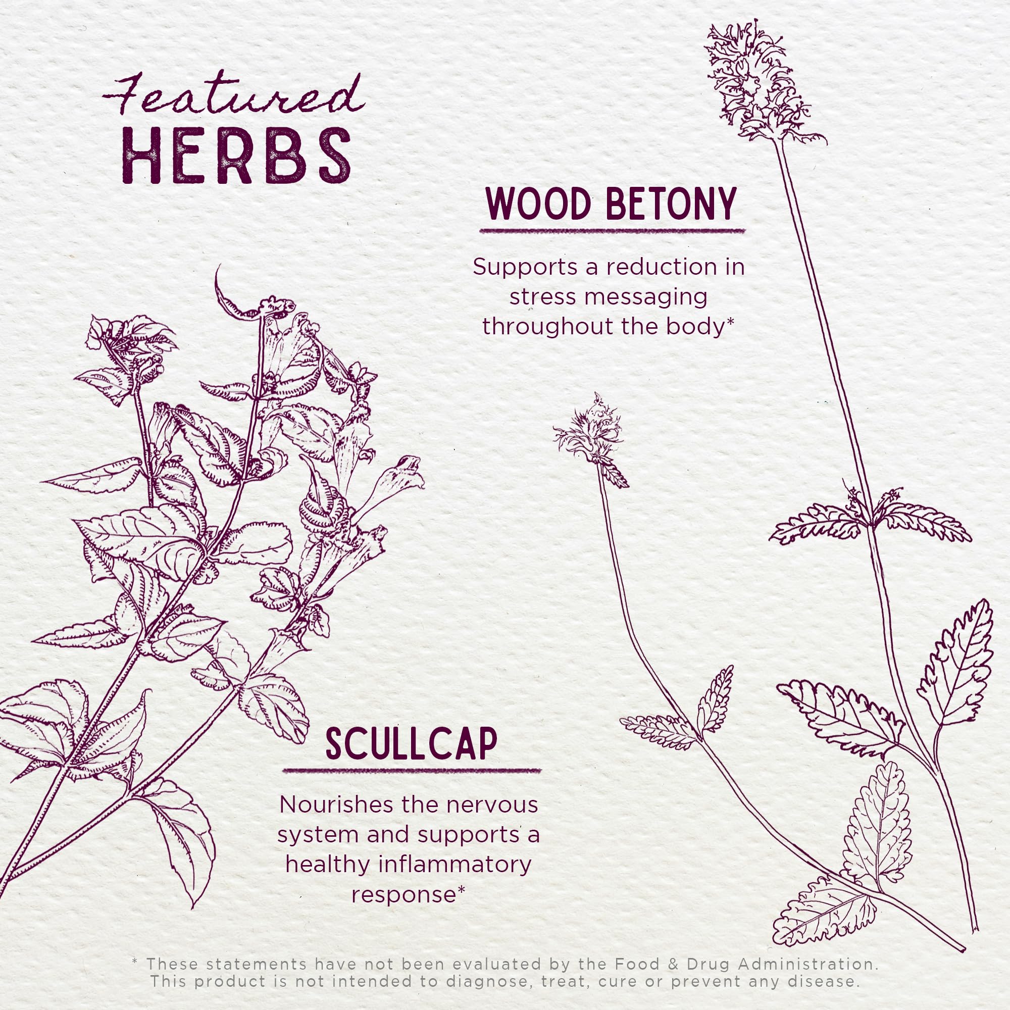 WishGarden Herbs Serious Relaxer, Liquid Herbal Muscle Relaxant with Wild Lettuce & Valerian Root, Eases Neck & Shoulder Tension, Tense Muscles, Muscle Spasms & Restless Legs, Non-GMO, Vegan, 4oz WishGardenAu supplements