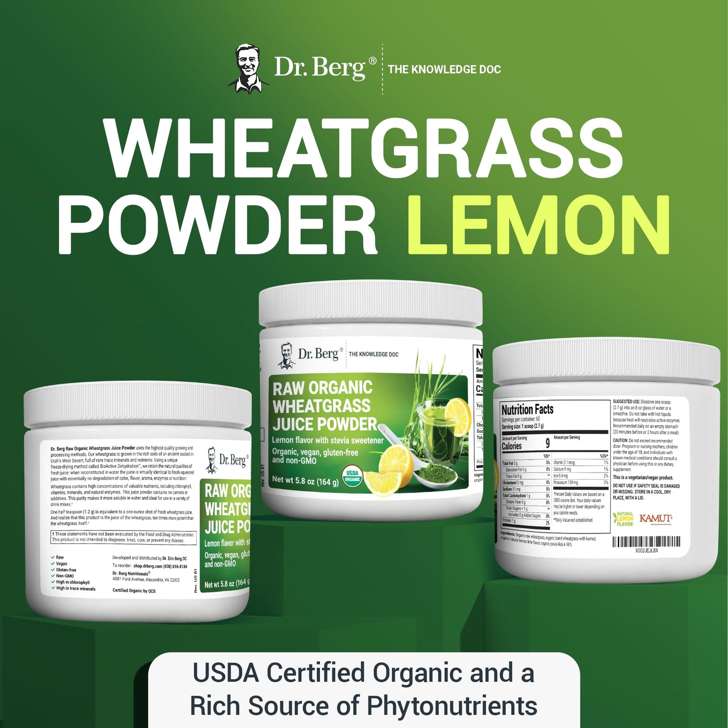 Dr. Berg's Raw Wheatgrass Juice Powder (60 Servings) - USDA Certified Organic Dr. Berg NutritionalsUS supplements