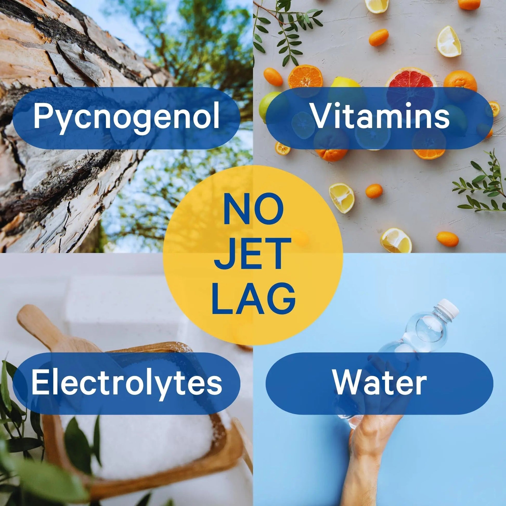 1Above Jet Lag Relief Tablets - Citrus-Flavored Effervescent Multivitamin with Pycnogenol Travel Supplement for Hydration, Energy 1ABOVEAu supplements