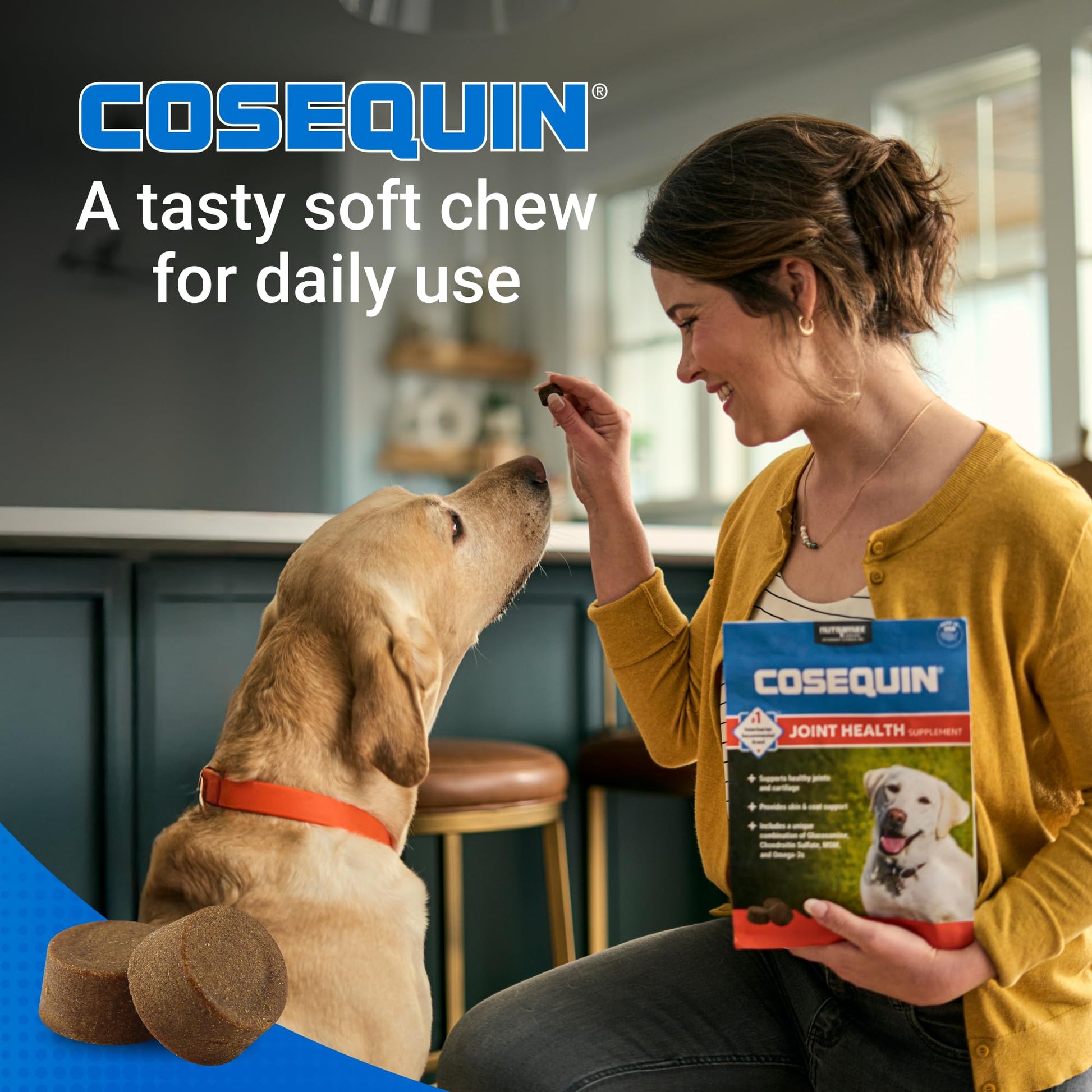 Nutramax Cosequin for Dogs Joint Health Supplement, Contains Glucosamine, Plus Chondroitin, MSM and Omega-3s, Supports Joint and Skin and Coat Health, Soft Chews, 120 Count Nutramax LaboratoriesAu supplements