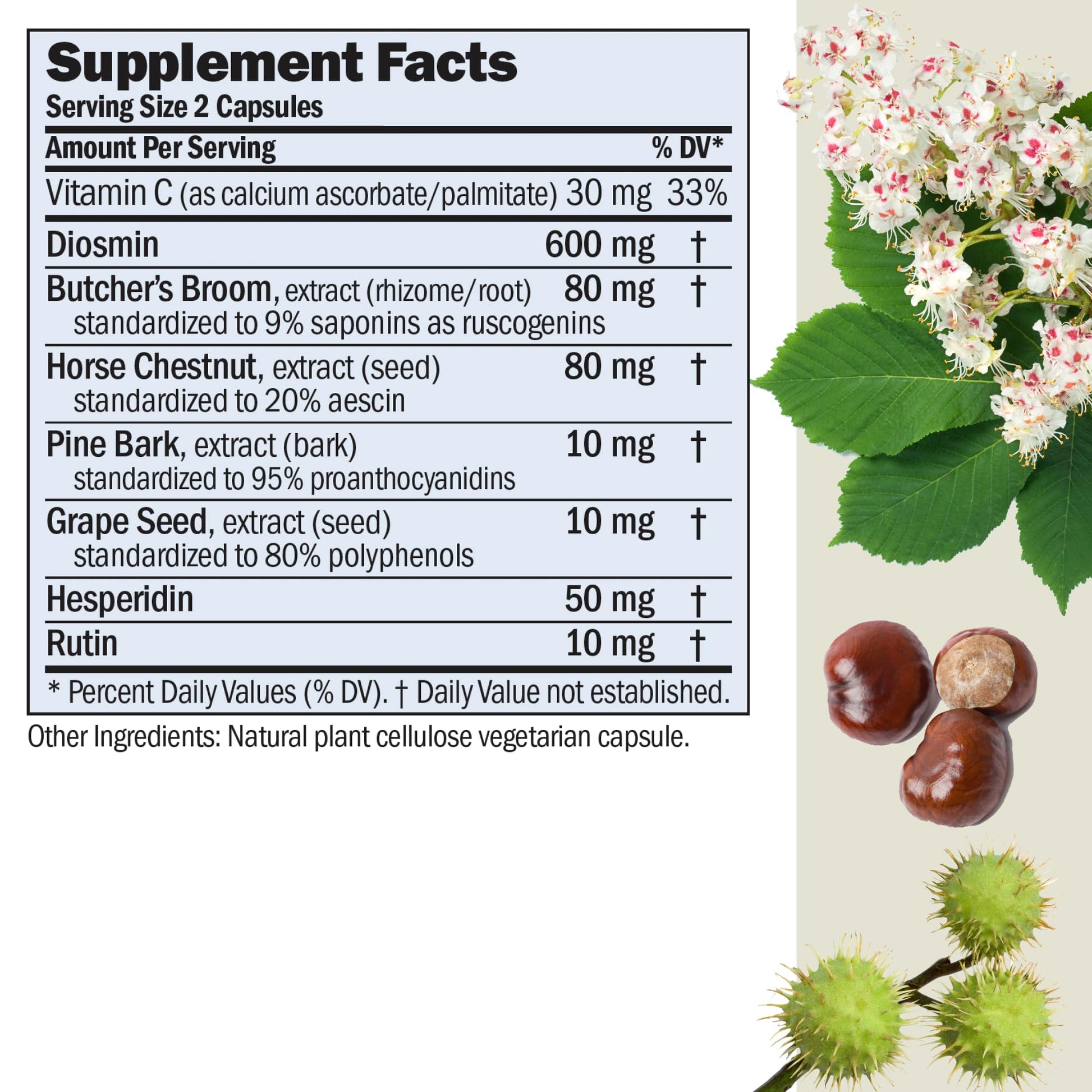 ANDREW LESSMAN Circulation, Vein Support for Healthy Legs 180 Capsules - High Bioactivity Diosmin, Butcher's Broom, Visibly Reduces Swelling and Discomfort in Feet, Ankles, Calves, Legs ANDREW LESSMANAu supplements