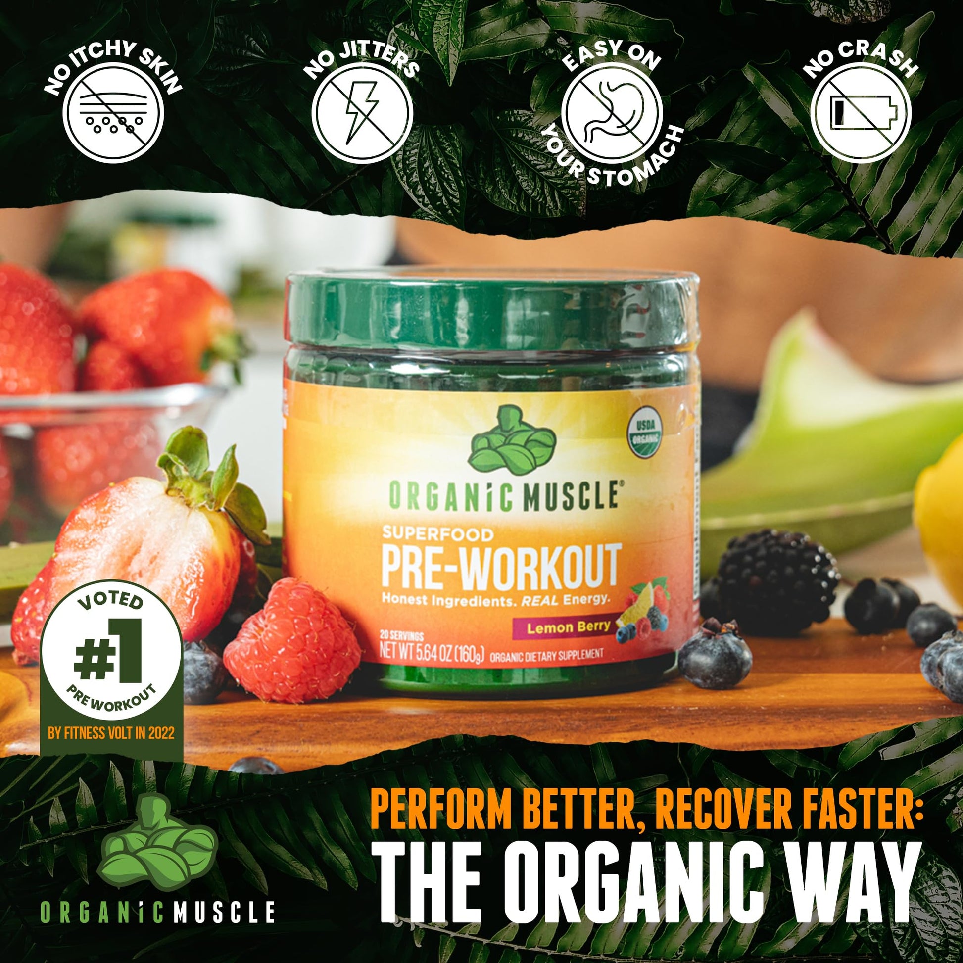 Organic Muscle Superfood Pre Workout Powder for Men & Women, Lemon Berry Organic MuscleAu supplements