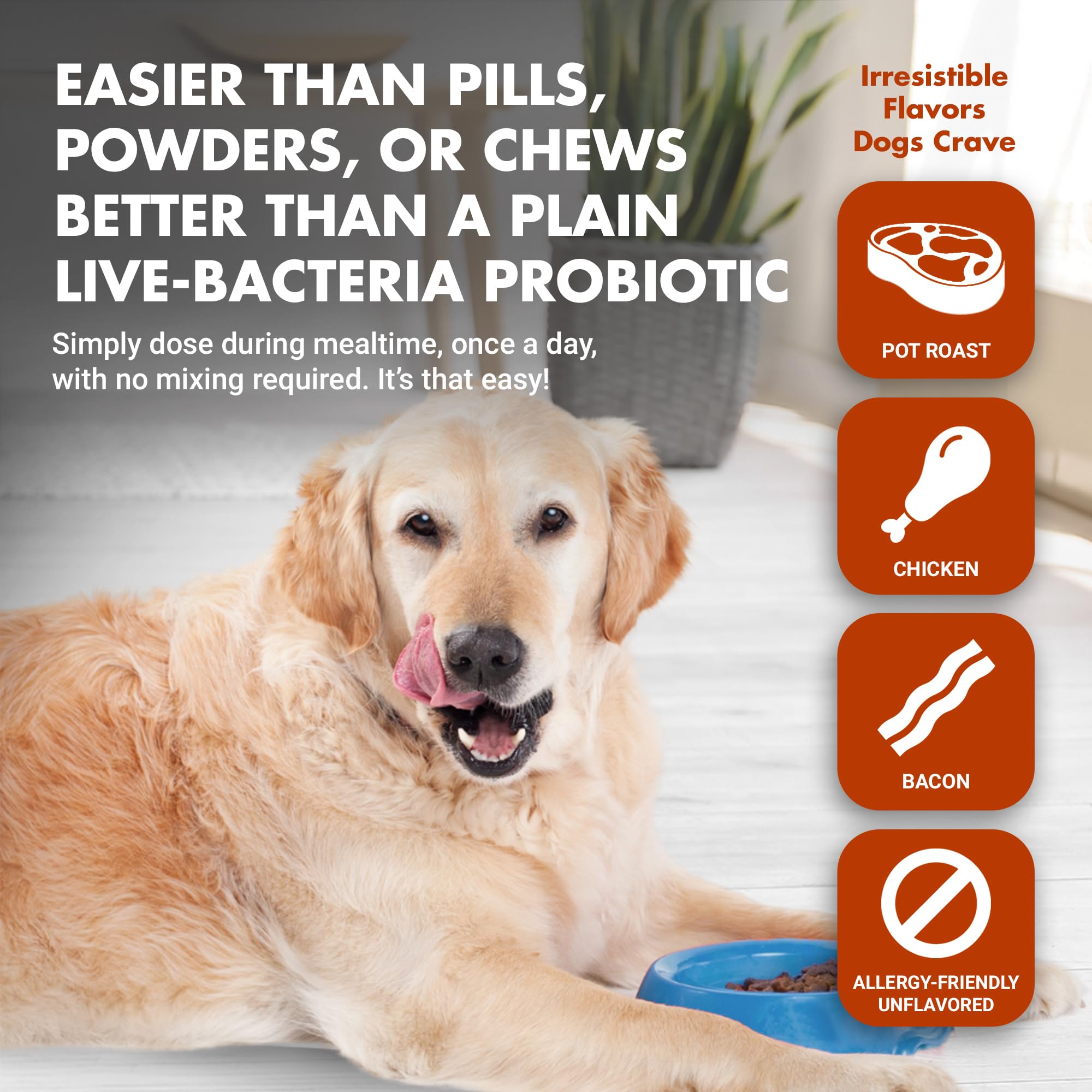Pre & PostBiotic Support for Dogs – Digestive Upset, Stool Quality & Sensitive Stomach Support – Easy Liquid Formula for Picky Eaters LIQUID-VETAu supplements