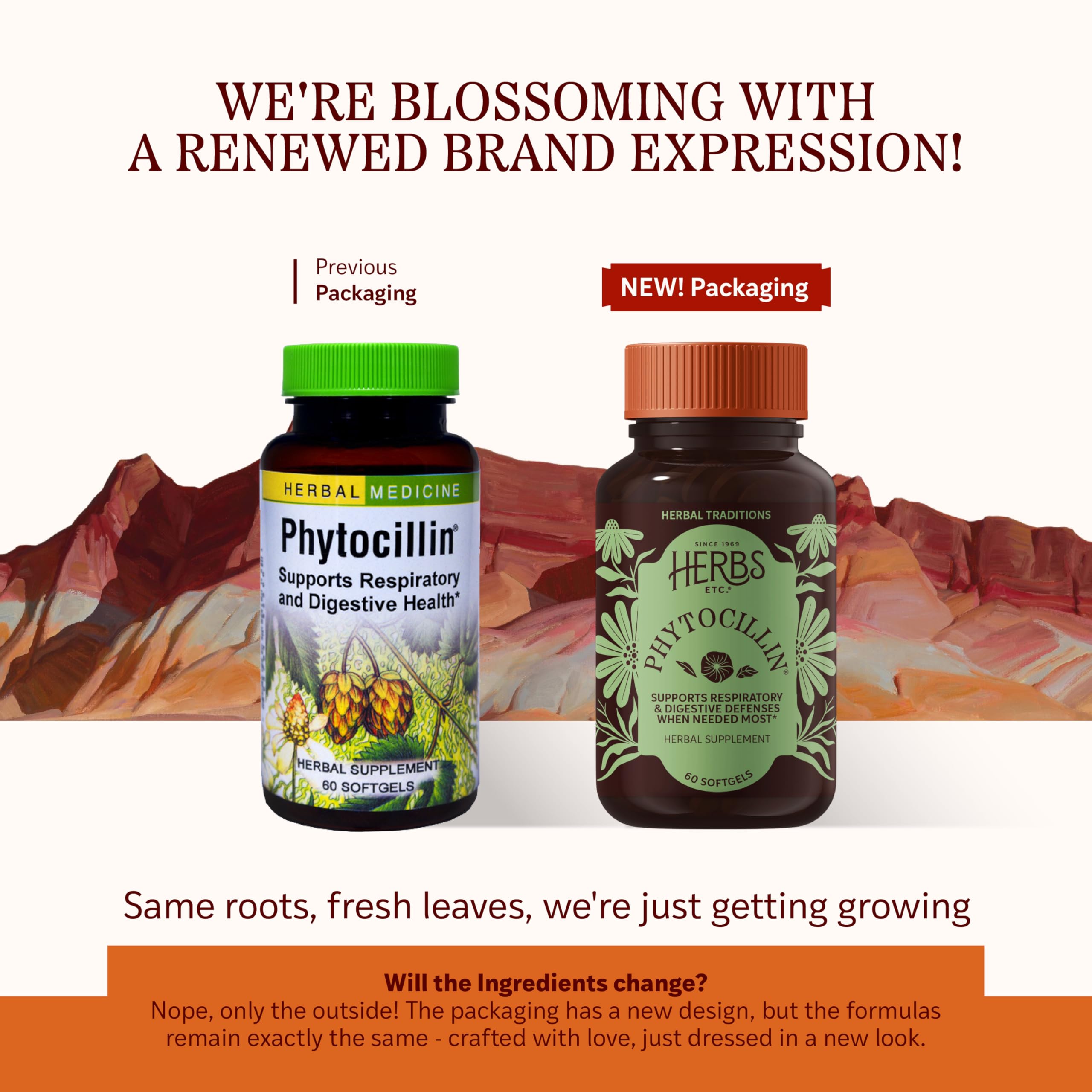 Herbs Etc. Phytocillin - Respiratory & Digestive Health Support Supplement - Herbal Formula to Support Digestion - Support Healthy Breathing - 60 Softgels (60 Servings) Herbs Etc.Au supplements