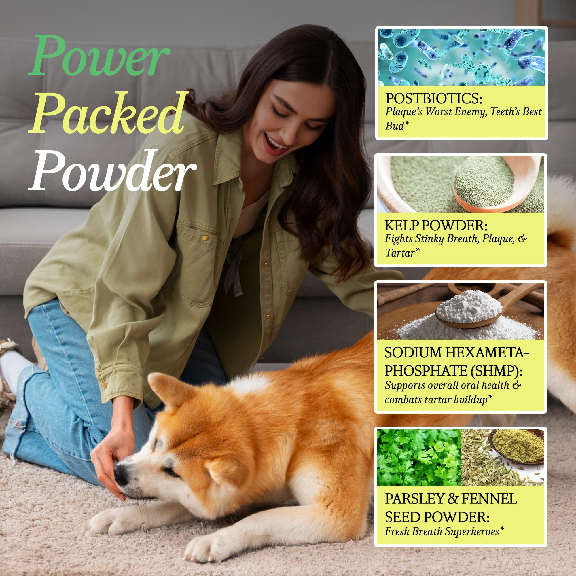 OTHER HALF Doggie Dental Supplement Powder - Dog Breath Freshener & Teeth Cleaning Made Easy - Oral Health Postbiotic for Dogs - Targets Tartar, Plaque & Bad Breath | 45 Scoops, Bacon Flavor OTHER HALFAu supplements