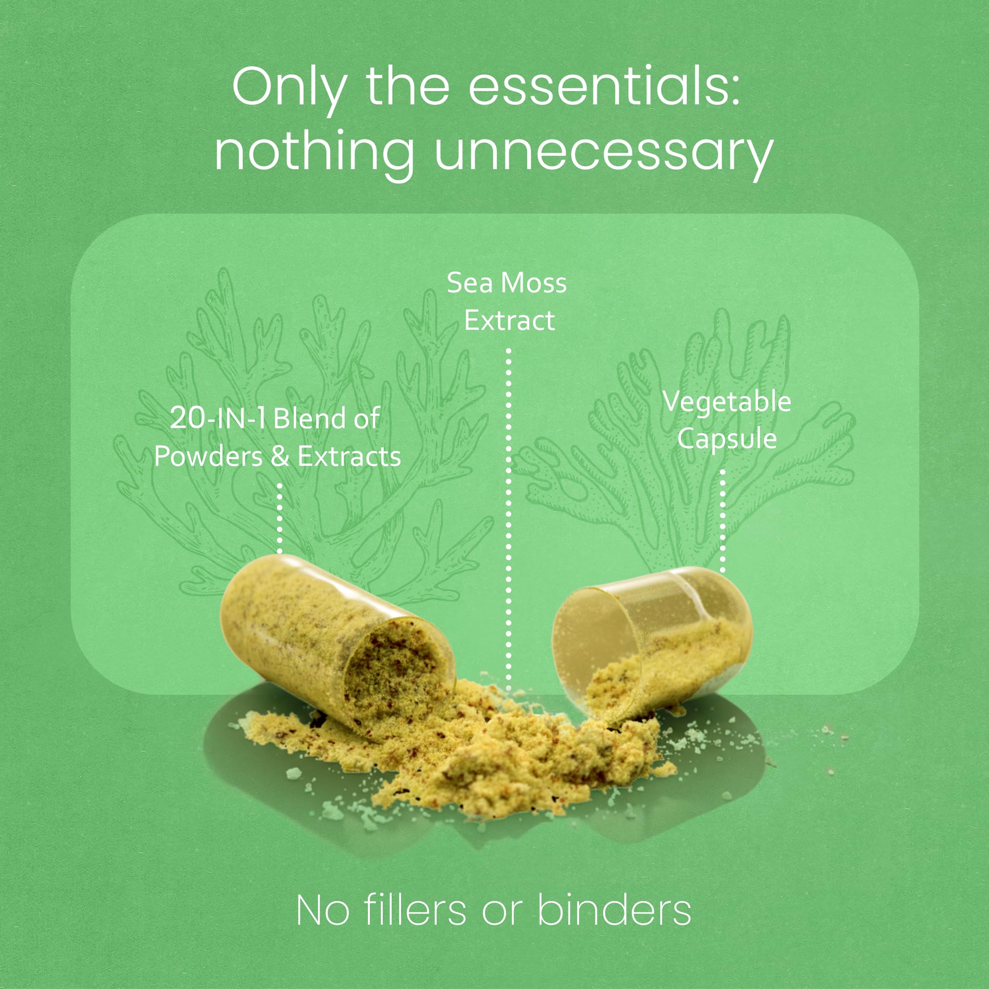 Sea Moss, Black Seed Oil, Bladderwrack, Turmeric, Ashwagandha, Burdock, Vitamin C, D3, Yellow Dock Root, Manuka, Dandelion - 90 Veggie caps NaturaLife LabsAu supplements