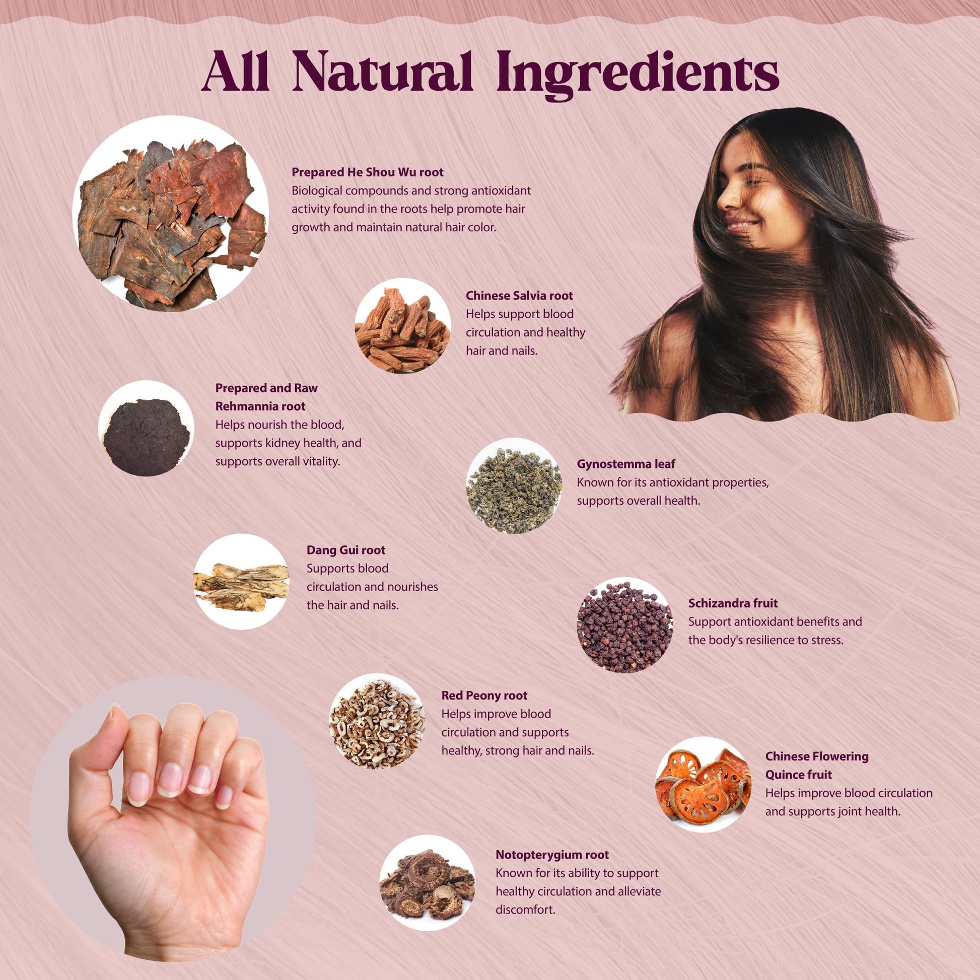 Dragon Herbs Hair and Nails | All Natural Supplement to Support Hair, Nails, Healthy Aging, and Circulation | All Natural Ingredients, Non-GMO (100 Capsules, 500 mg Per Capsule) Dragon HerbsAu supplements