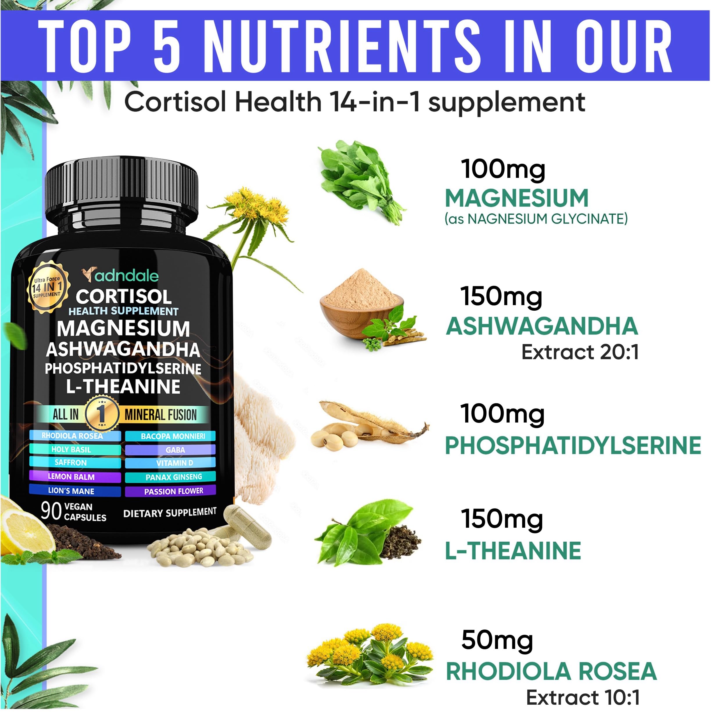 Adndale Cortisol Supplements for Women. Cortisol Reducer 14-in-1 Ashwagandha Supplement with Magnesium Glycinate, L-Theanine & More. 90 Capsules. AdndaleAu supplements