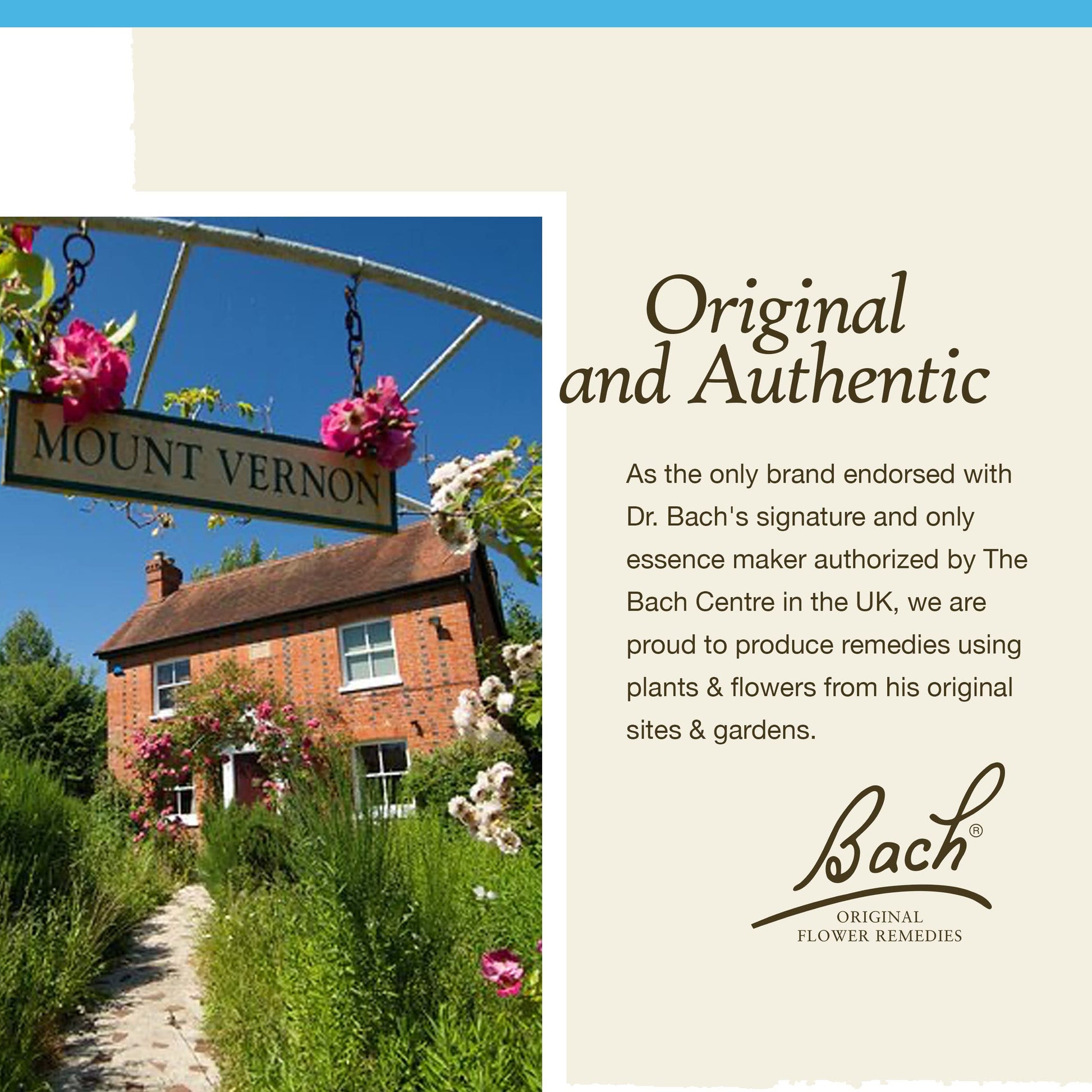 Bach Original Flower Remedies, Rock Water for Flexibility, Natural Homeopathic Flower Essence BachAu supplements