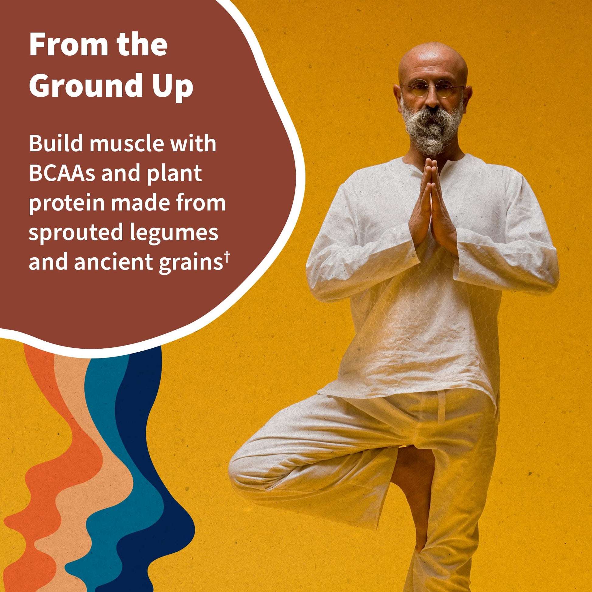 Garden of Life, Organic Vegan Vanilla Chai Protein Powder -22g Complete Plant Based Raw Garden of LifeUS supplements