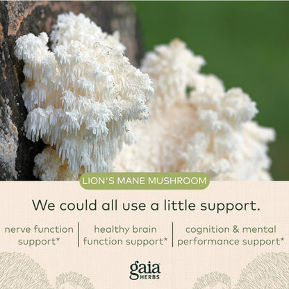 Gaia Herbs Organic Lion’s Mane Mushroom - Brain and Nerve Support Supplement Gaia HerbsUS supplements