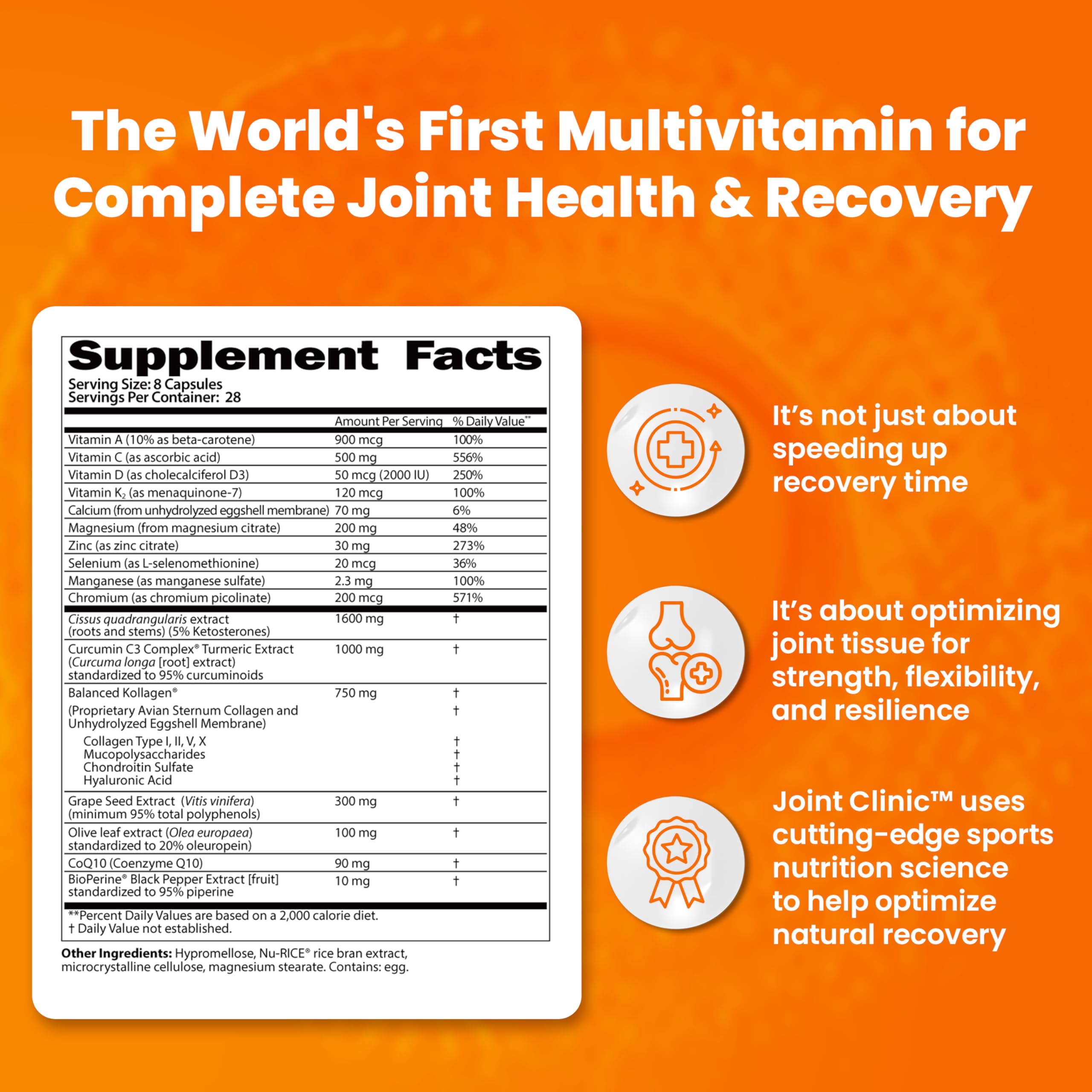 SaltWrap Joint Clinic - Multivitamin for Joint Health and Recovery - with Type II Collagen, C3 Turmeric, Cissus, and Hyaluronic Acid - 224 Capsules SaltWrapAu supplements