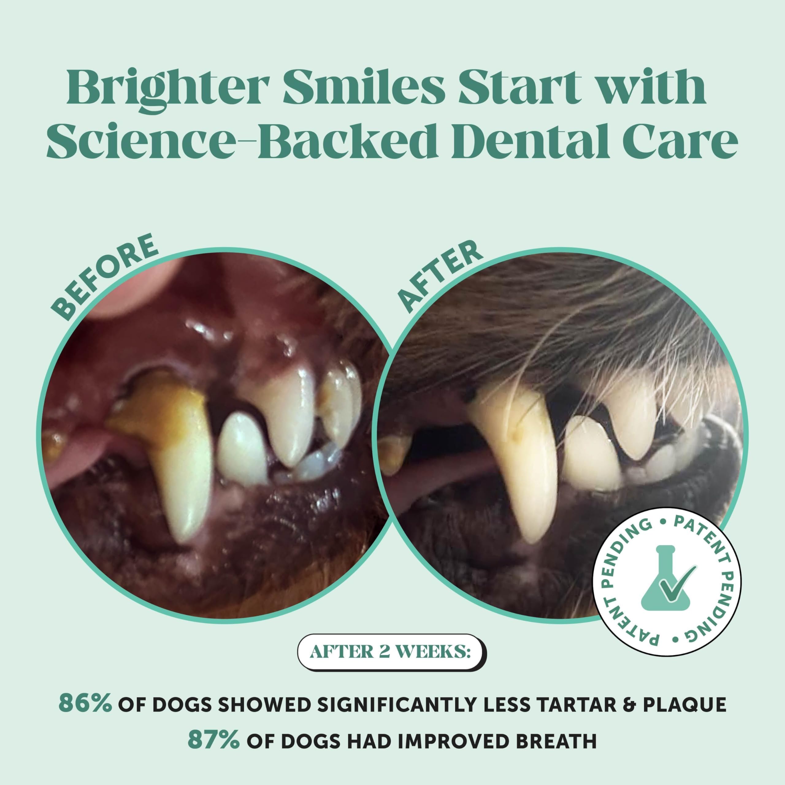 Dog Breath Freshener Dental Powder for Teeth Cleaning Plaque Off, Dental Care for Dogs, Tartar Remover for Teeth with Natural Herbal Blend + Postbiotics (Mint - 30 Servings) Pet HonestyAu supplements