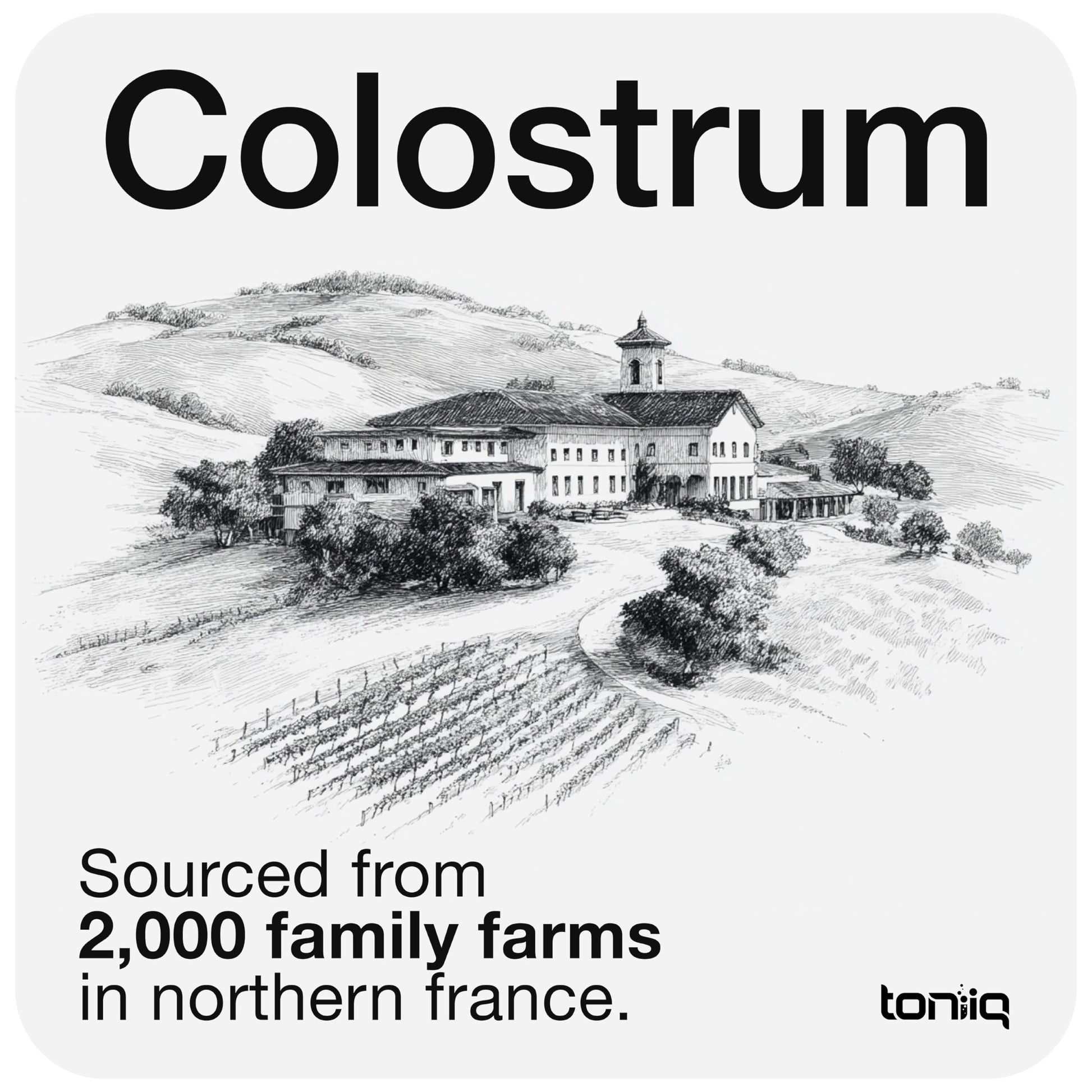 Toniiq Colostrum Powder – Ultra High Potency 50% IgG Concentrate – Farm-to-Jar Traceable French Colostrum – Microfiltered for Purity – Third-Party Lab Verified – 30 Servings ToniiqAu supplements