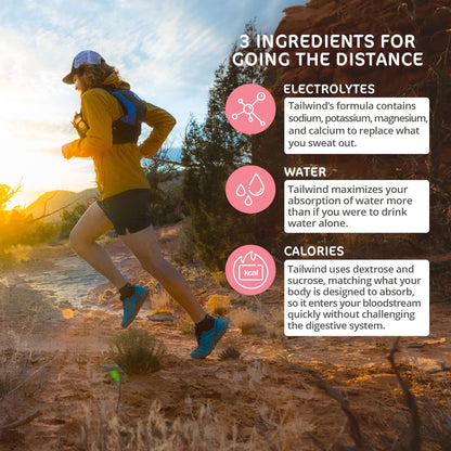 Tailwind Nutrition Endurance Fuel, Caffeine Drink Mix with Electrolytes TailwindUS supplements