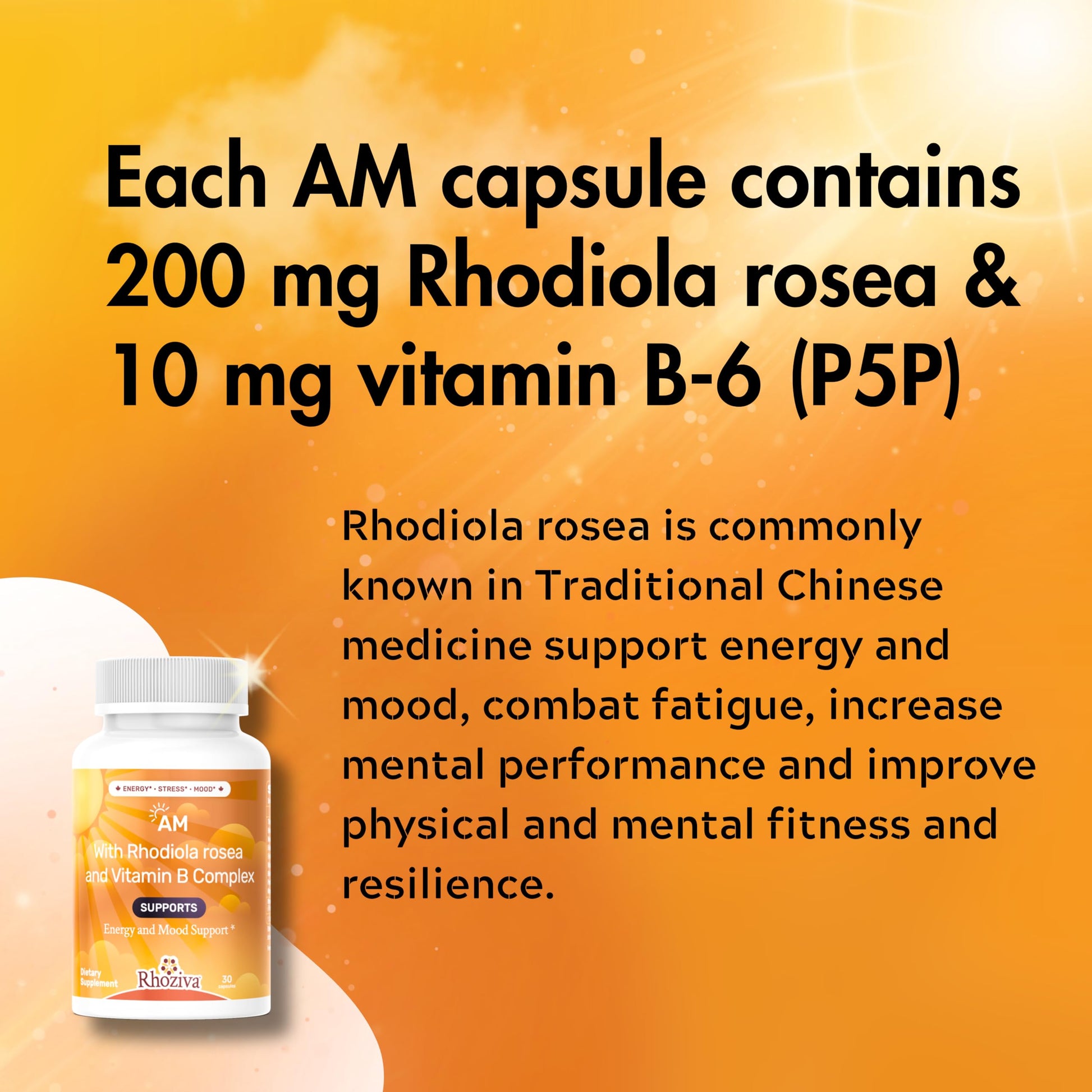 AM PM Multivitamin - Cortisol Supplements for Women and Men with L-Theanine, Ashwagandha - Rhodiola Rosea Supplement 200mg - Vitamin B Complex - Nootropics - Day and Night Vitamins for Women & Men RhozivaAu supplements