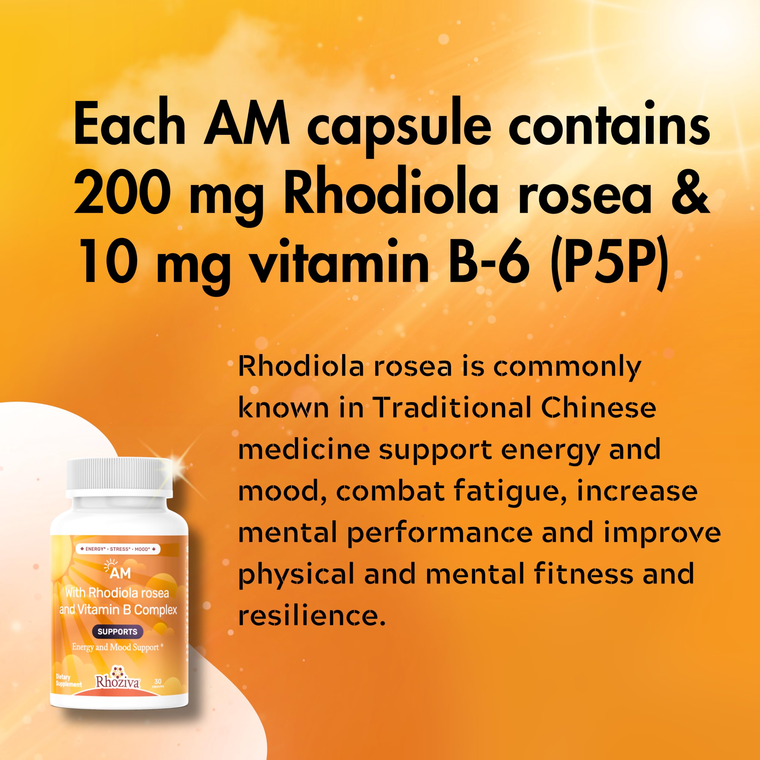 AM PM Multivitamin - Cortisol Supplements for Women and Men with L-Theanine, Ashwagandha - Rhodiola Rosea Supplement 200mg - Vitamin B Complex - Nootropics - Day and Night Vitamins for Women & Men RhozivaAu supplements