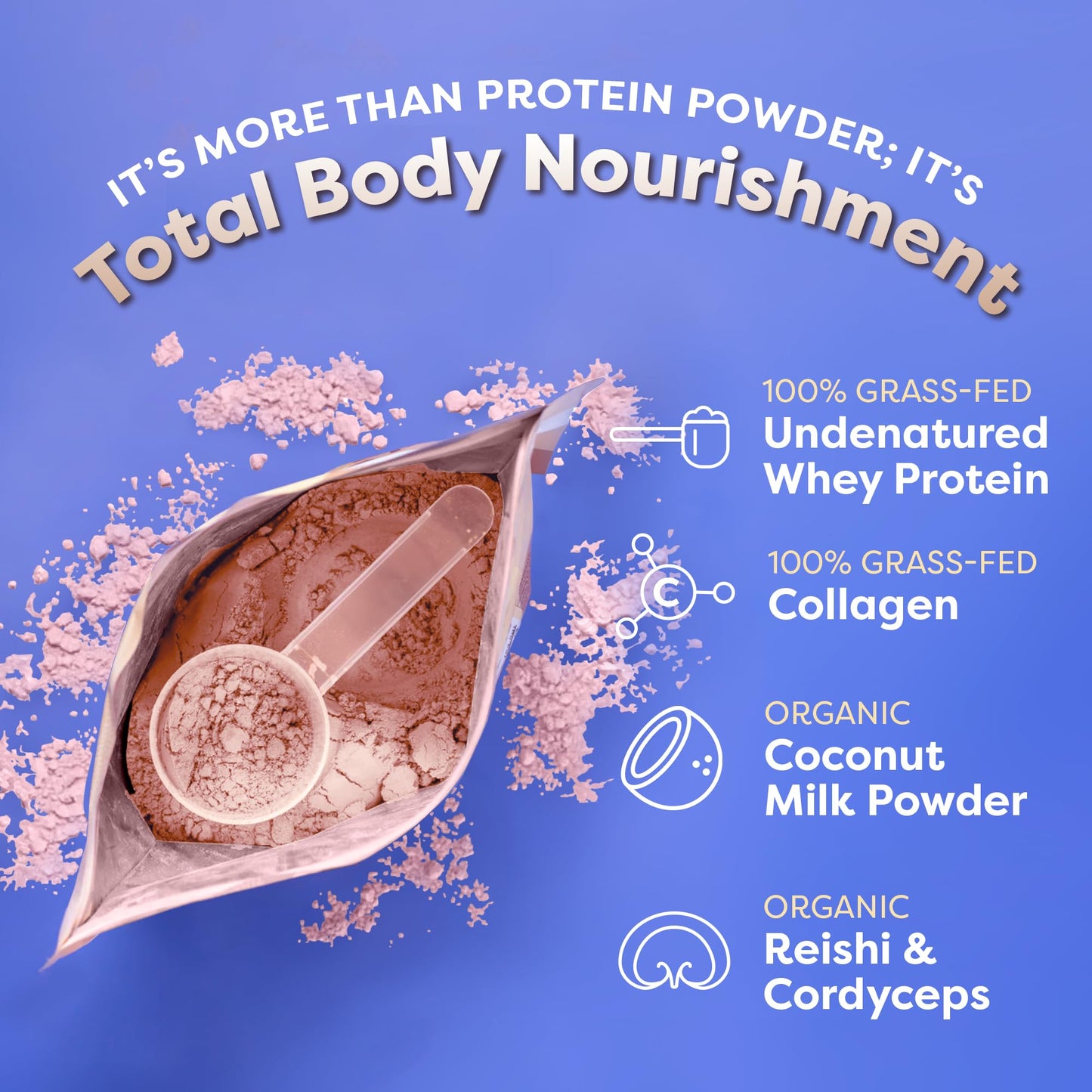 FlavCity Protein Powder Smoothie, Berries & Cream - 100% Grass-Fed Whey Protein FlavCityUS supplements