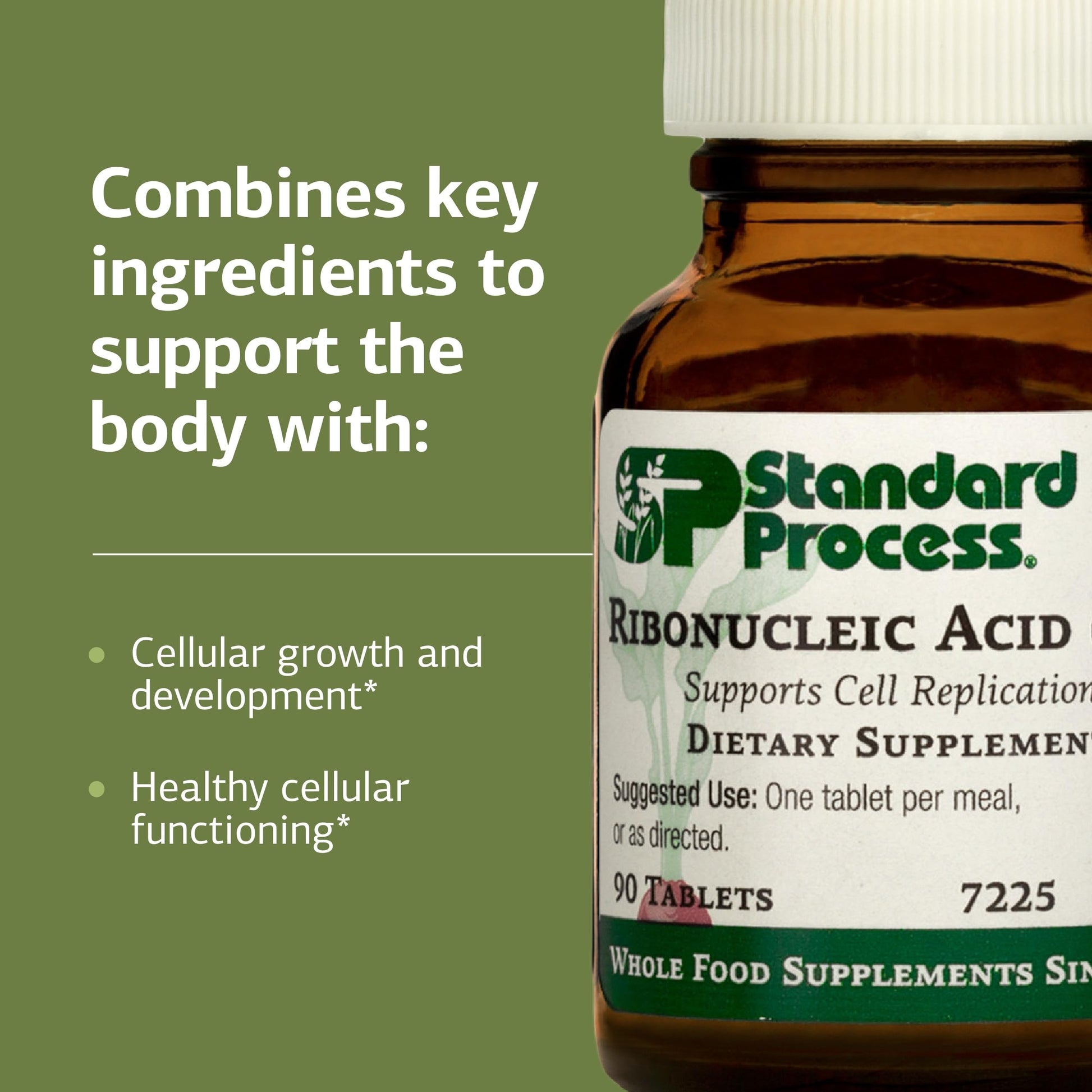 Standard Process Ribonucleic Acid RNA - Cell Development Support - Aids Protein Synthesis - Vegan, Gluten-Free, Non-Soy, & Non-Grain - 90 Tablets (90 Servings) Standard Process Inc.Au supplements