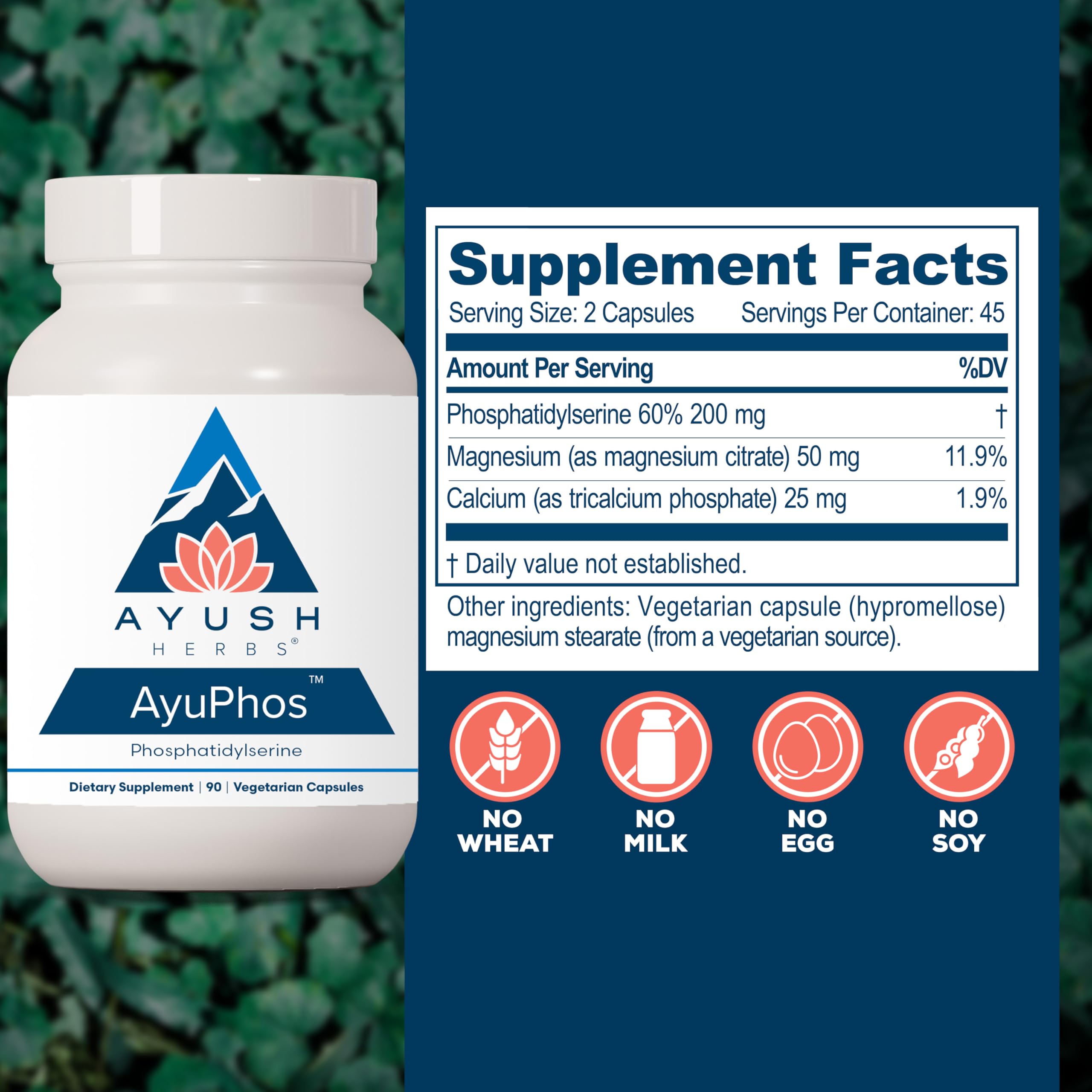 Ayush Herbs AyuPhos - Phosphatidylserine Supplement for Men & Women, Soy-Free Phosphatidyl Serine, Brain, Memory, & Cognitive Support for Adults, 200mg Per Pill - 45 Servings Ayush HerbsAu supplements