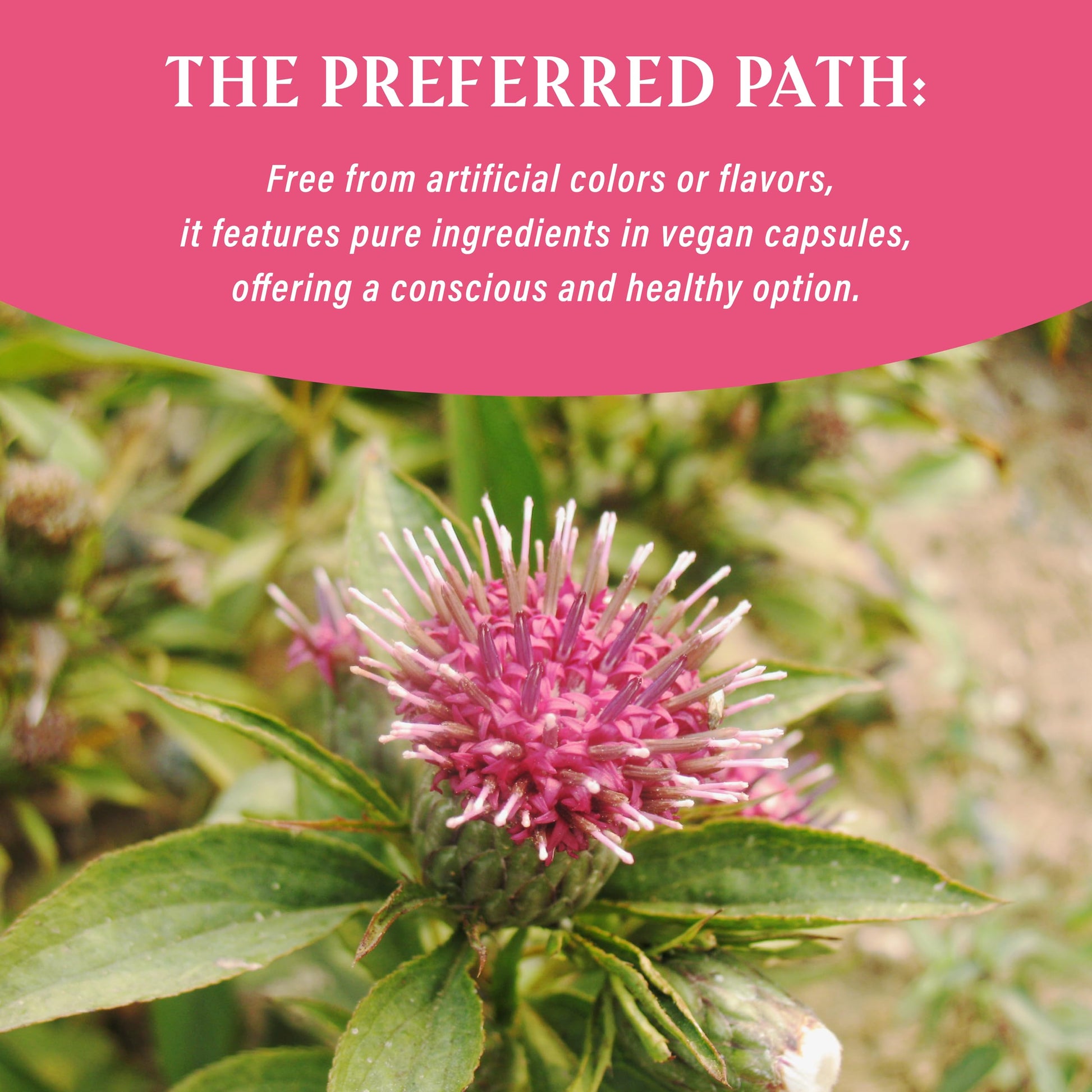 NUWONDER Women's probiotic - Natural Vaginal Support Supplement, Balanced & Confident NUWONDERAu supplements