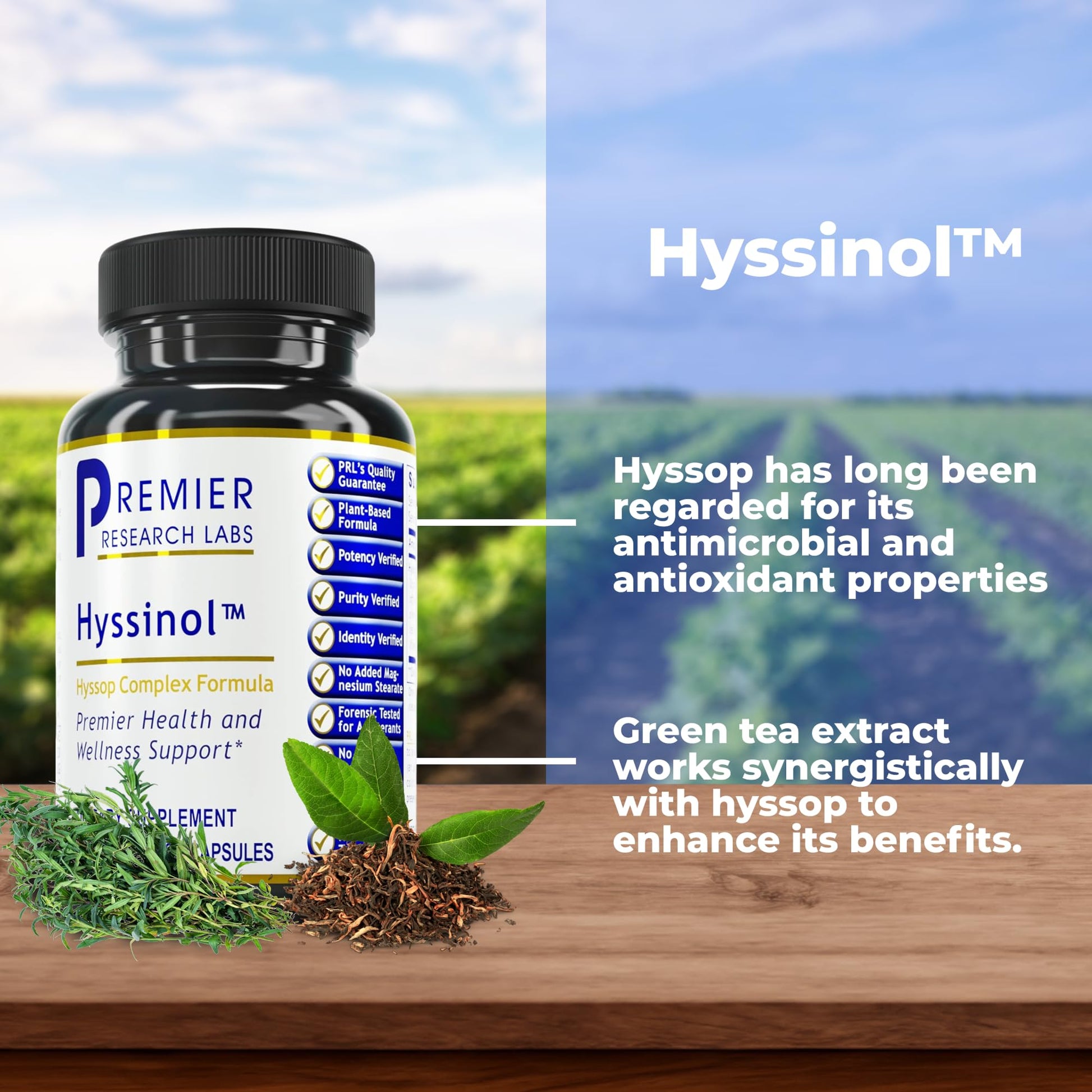 Premier Research Labs Hyssinol - Hyssop Herb, Hyssop Capsules, Wellness Pills with Organic Hyssop Dry Herb, Dietary Supplement with Green Tea, Antioxidant Support - 60 Vegetarian Capsules Premier Research LabsAu supplements