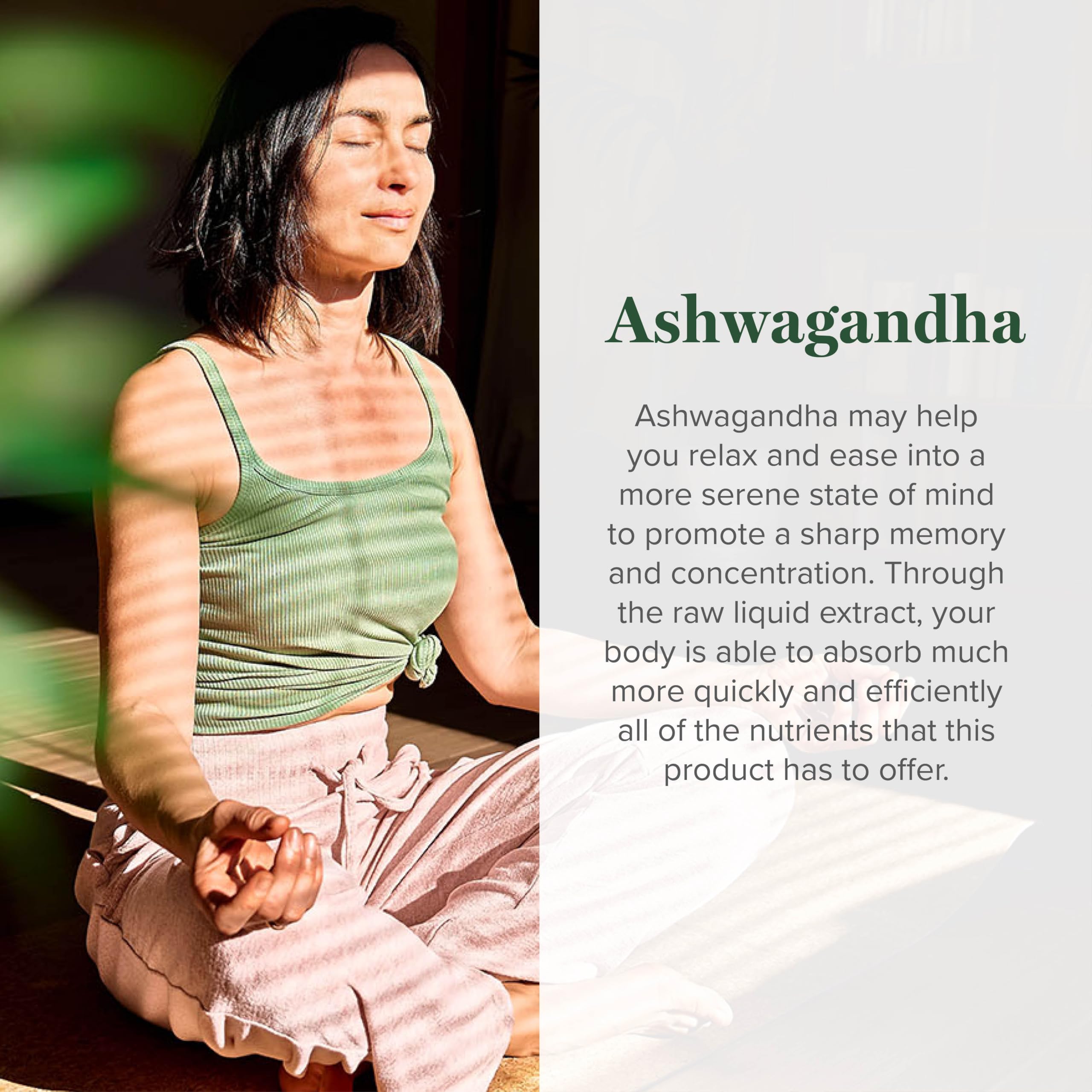 Global Healing Center - Organic Ashwagandha Supplements Drops - KSM-66 Ashwagandha Extra Strength for Men & Women, Helps Promote Relief from Stress, Mood Support, Organic (2 Fl Oz) Global Healing CenterAu supplements