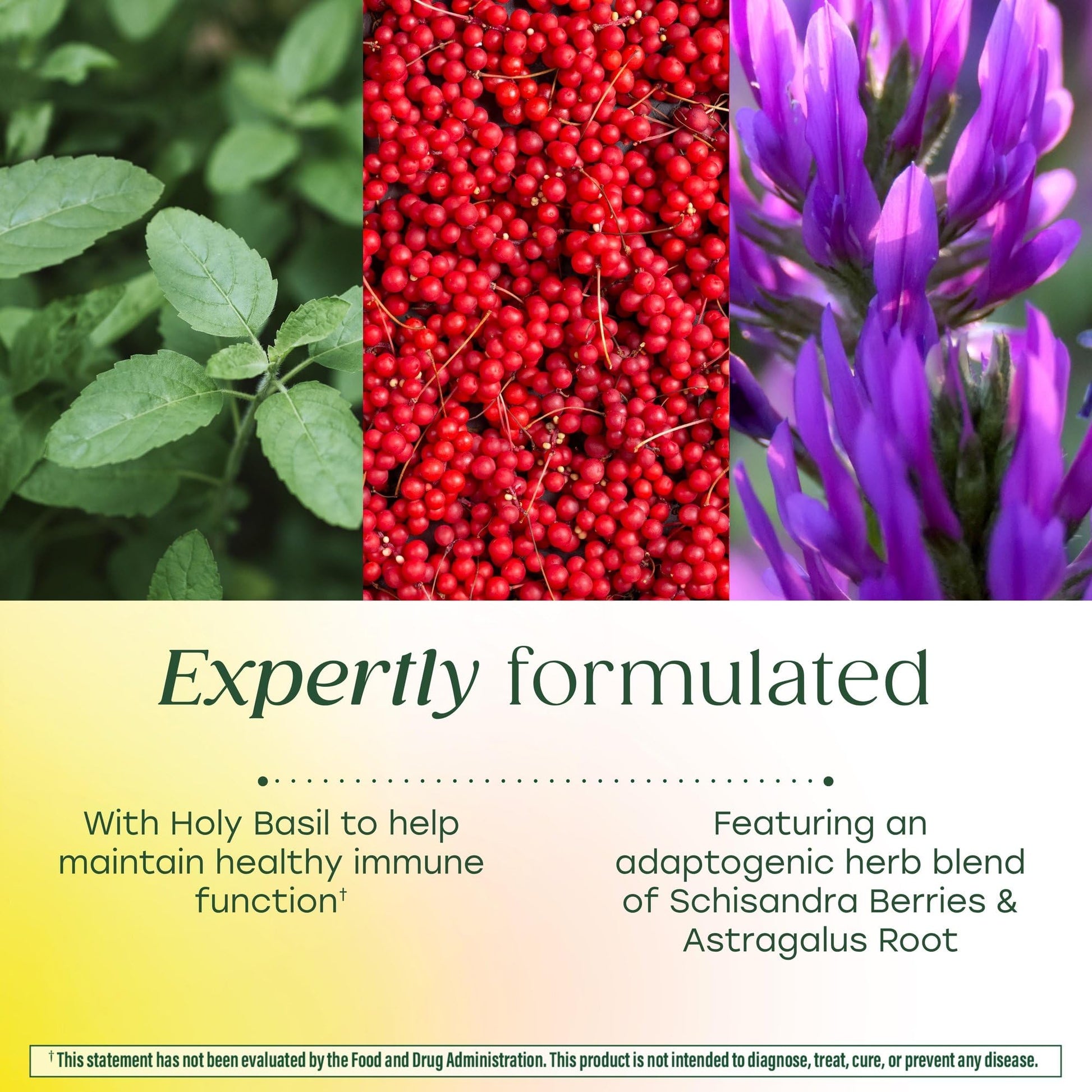 MegaFood Ashwagandha Complex (Formerly Stress Protect) - Ashwagandha Supplements Astragalus Root & Holy Basil - Vegetarian, Gluten Free, Cortisol Supplement - 60 Mini Tablets, 30 Servings MegaFoodAu supplements