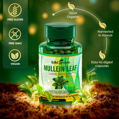 KIKI Green Mullein Leaf Extract Capsules - Herbal Respiratory Supplement - for Lung Cleans KIKI GreenUS supplements
