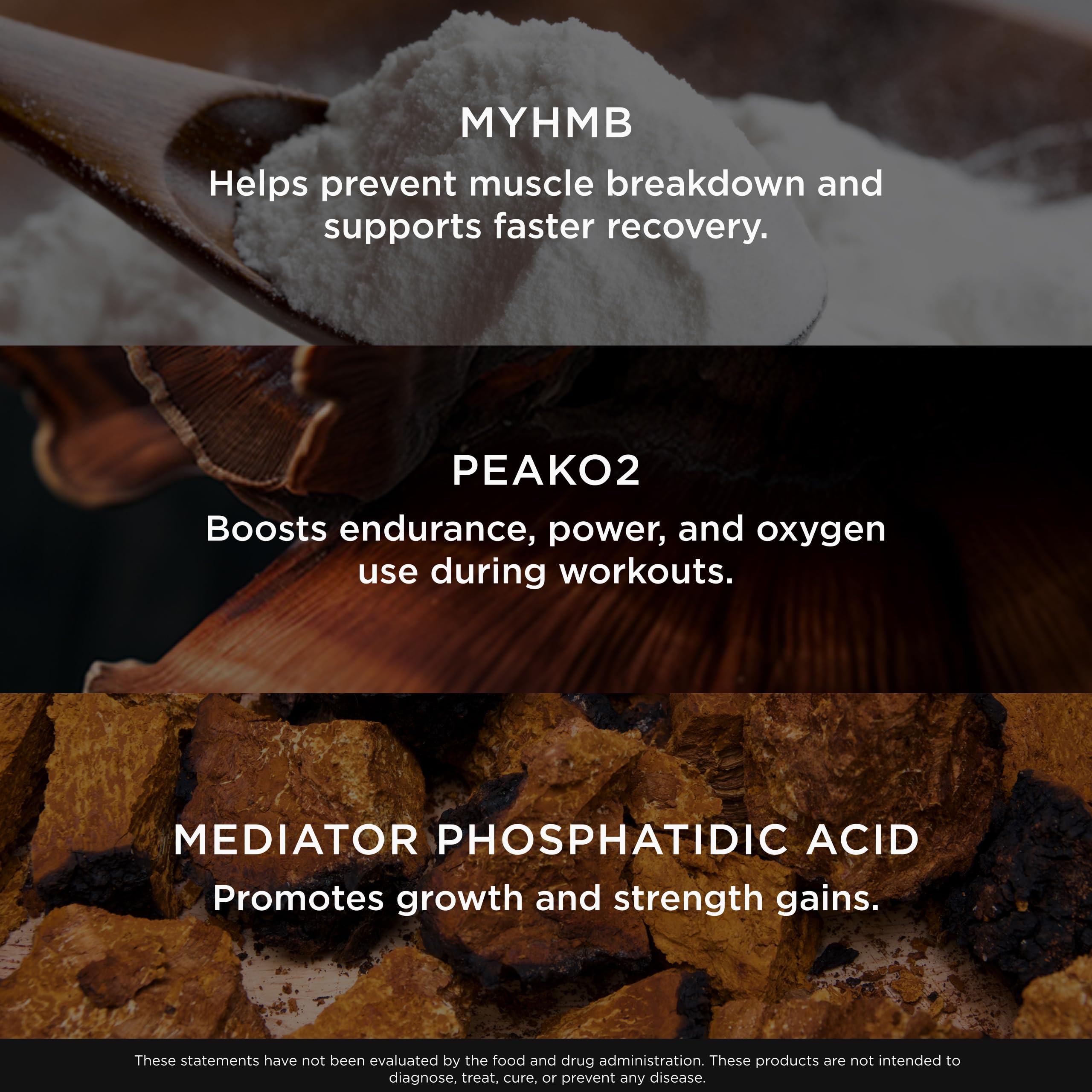 The Genius Brand Genius Muscle - Muscle Health Supplement for Growth, Endurance & Recovery - Non-Hormonal Formula - 6 Organic Mushrooms - Naturally-Sweetened - 30 Servings - Strawberry Vanilla The Genius BrandUS supplements
