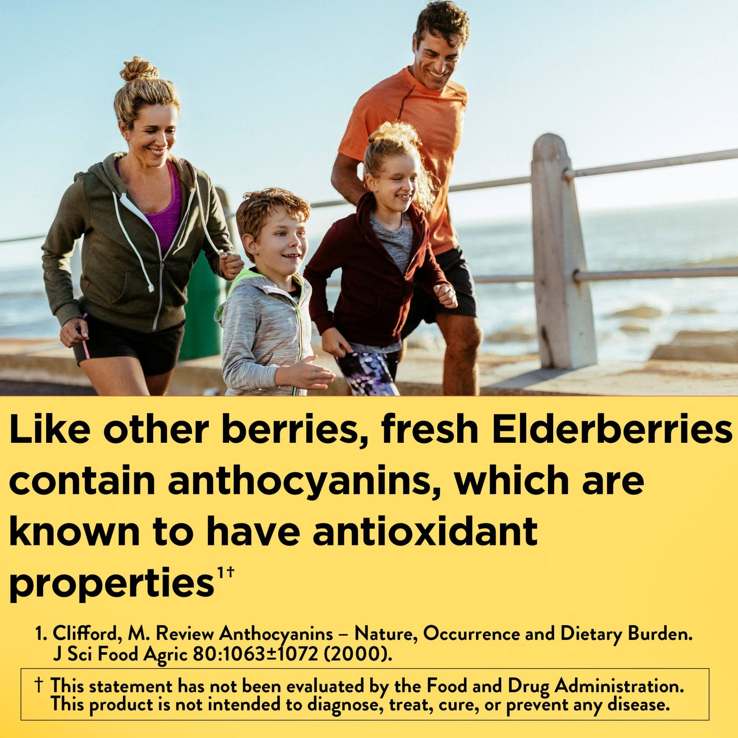 Nature Made Elderberry 400 mg Extract with Vitamin C and Zinc, Dietary Supplement Nature MadeUS supplements